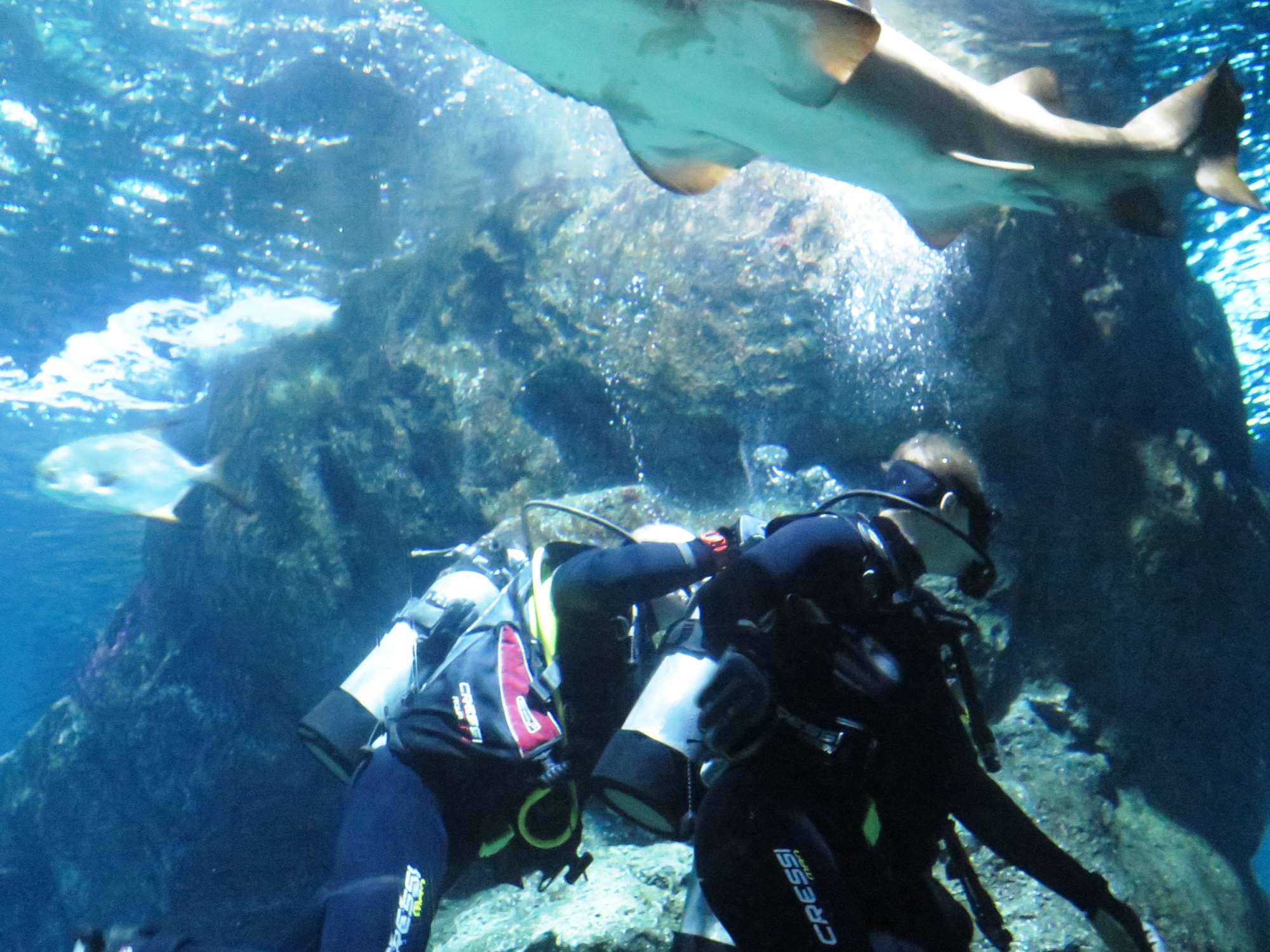 Wp 20160713 14 25 00 6292