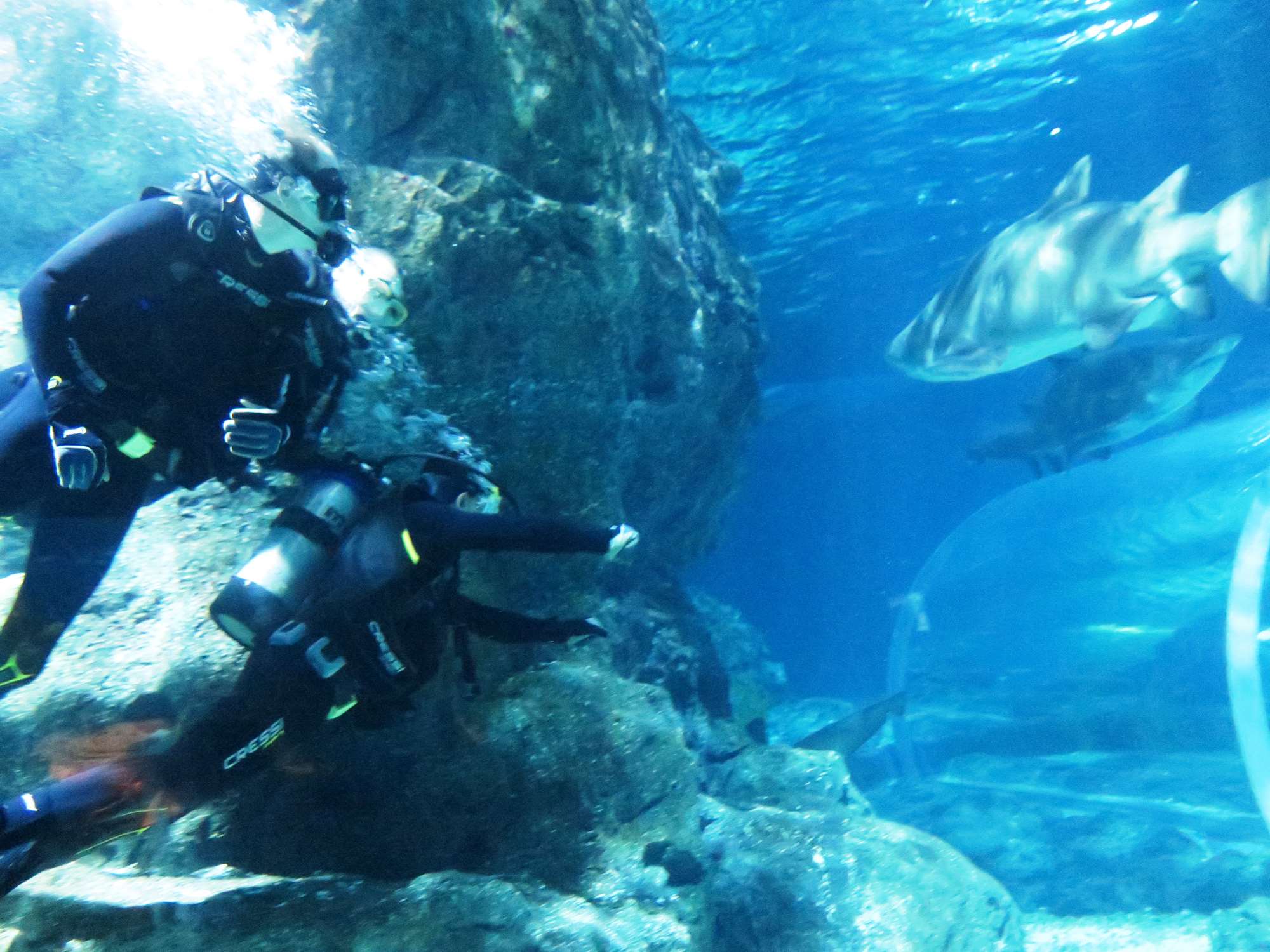 Wp 20160713 14 25 00 6294