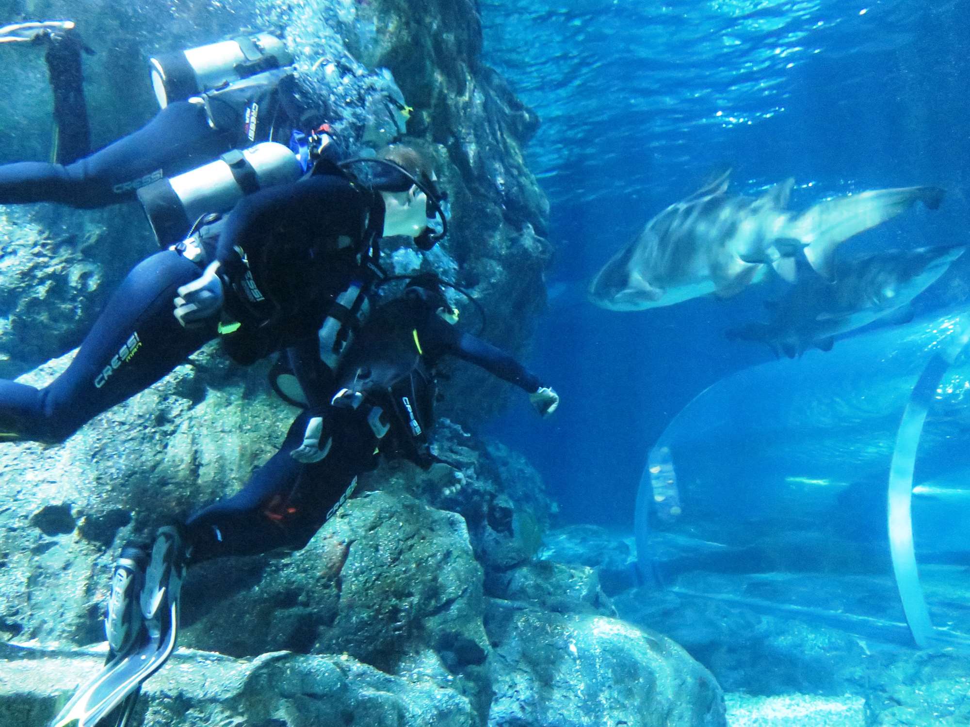 Wp 20160713 14 25 00 6295