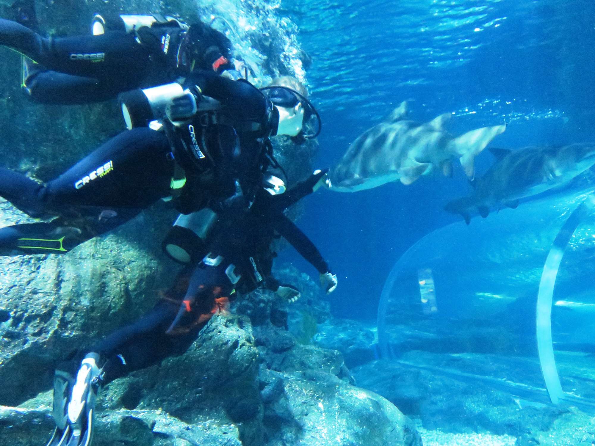 Wp 20160713 14 25 00 6296