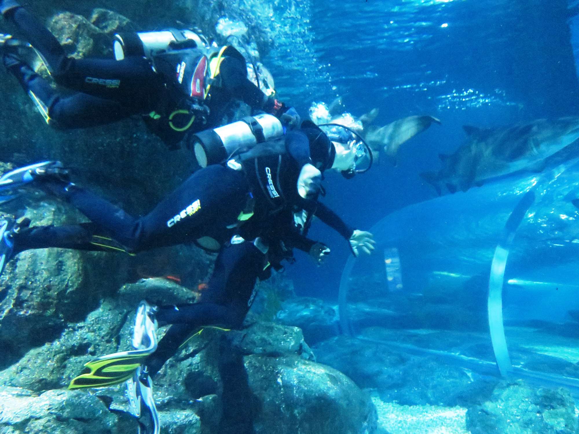 Wp 20160713 14 25 00 6297