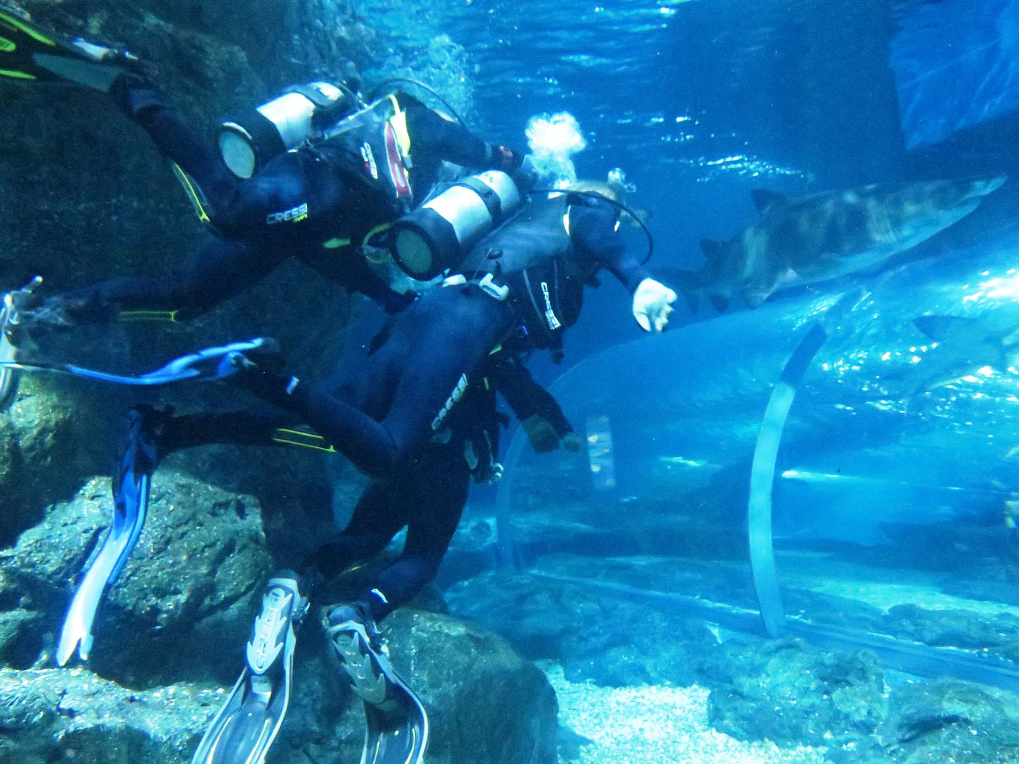 Wp 20160713 14 25 00 6298