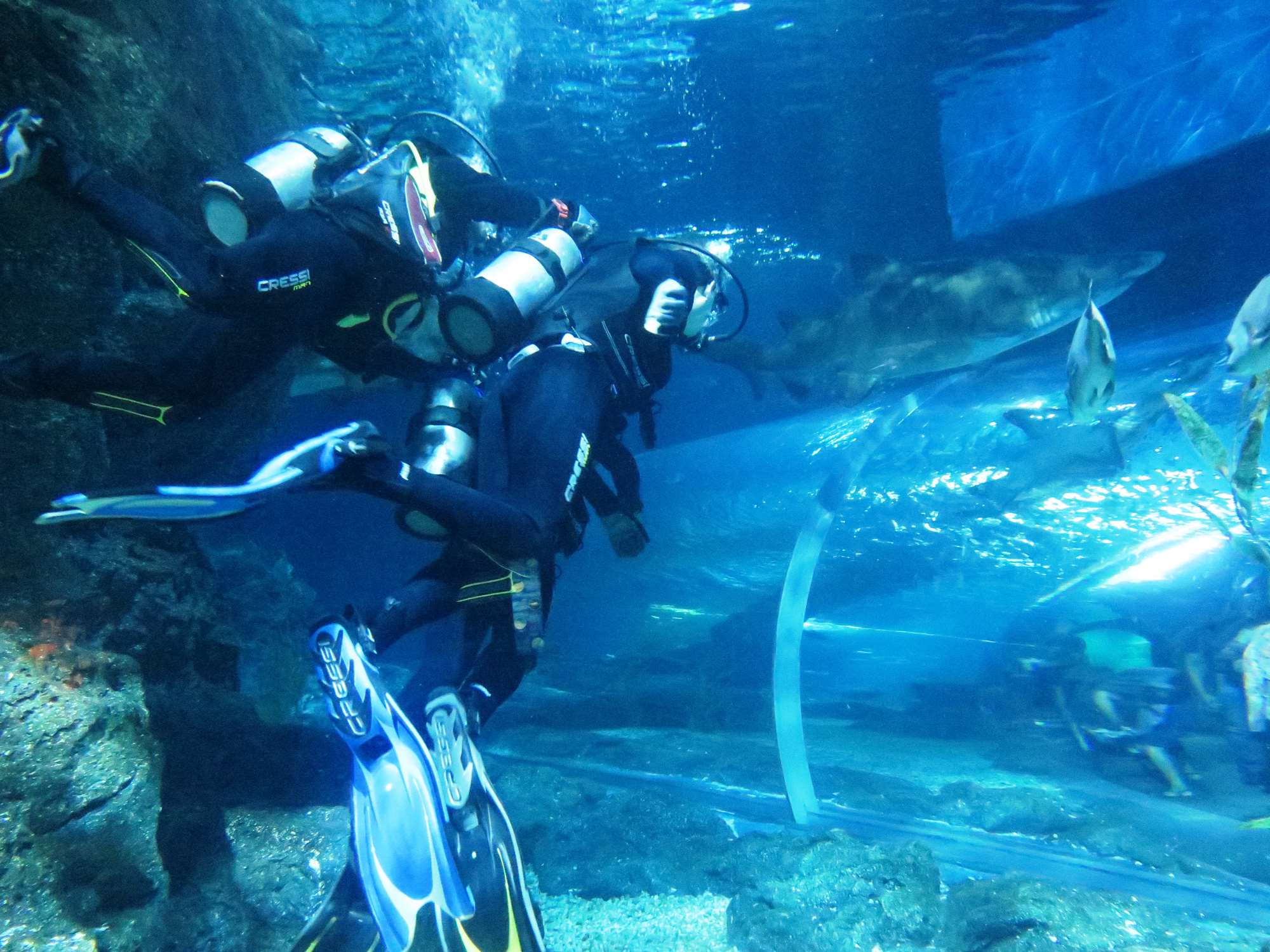 Wp 20160713 14 25 00 6299