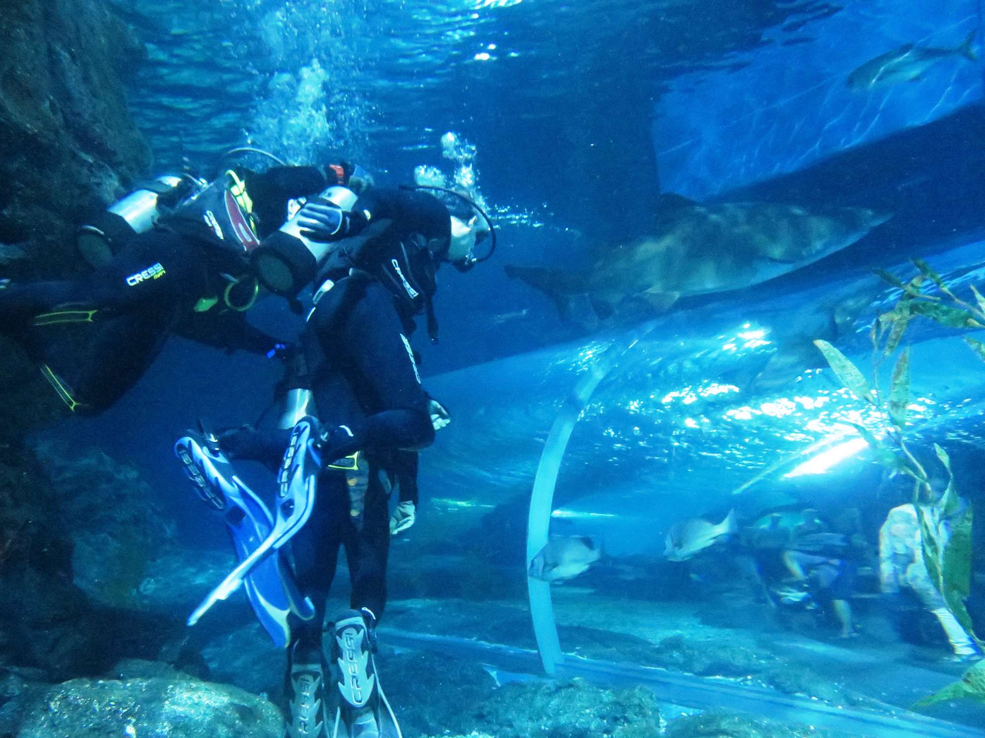 Wp 20160713 14 25 00 6300