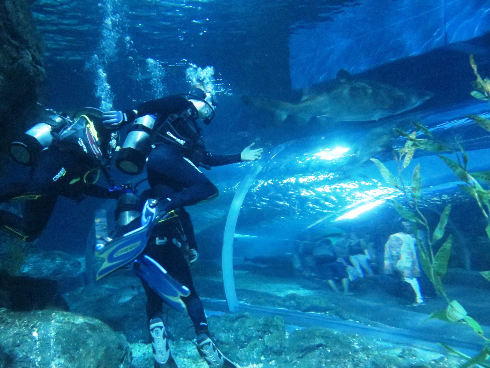 Wp 20160713 14 25 00 6301