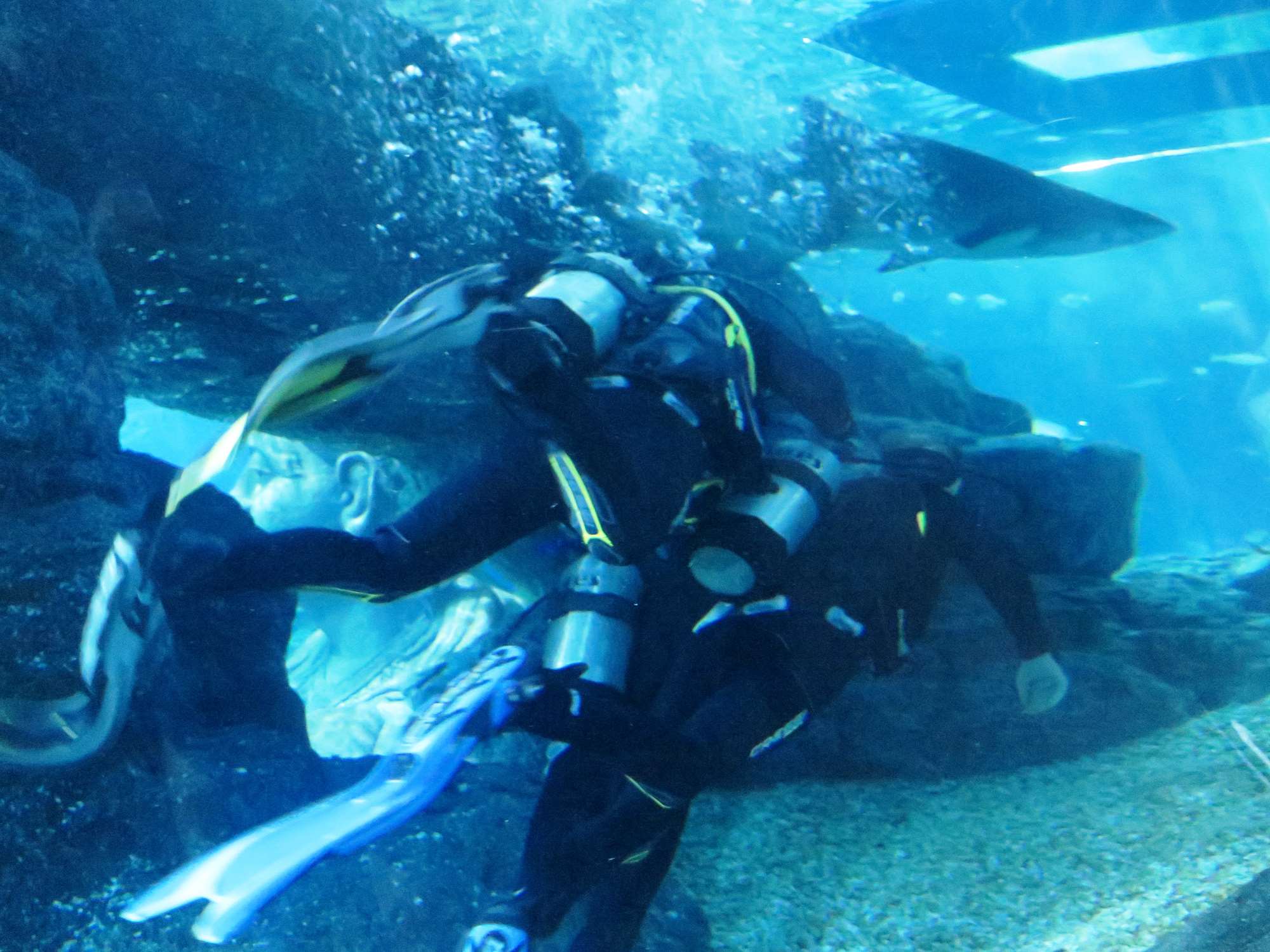 Wp 20160713 14 25 00 6309