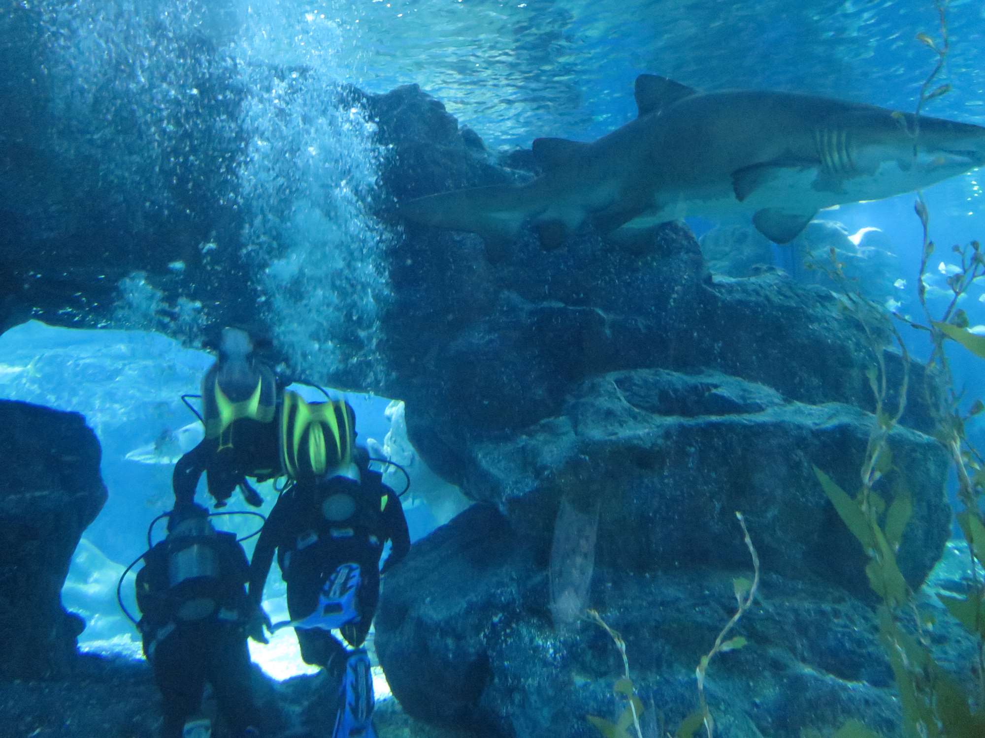 Wp 20160713 14 25 00 6312