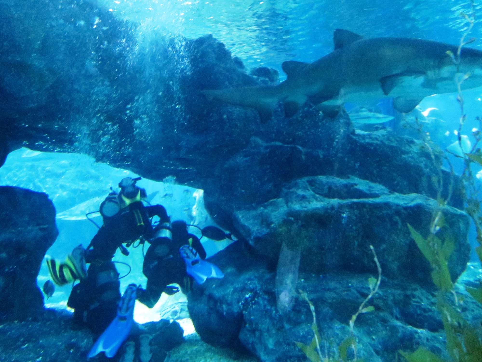 Wp 20160713 14 25 00 6313