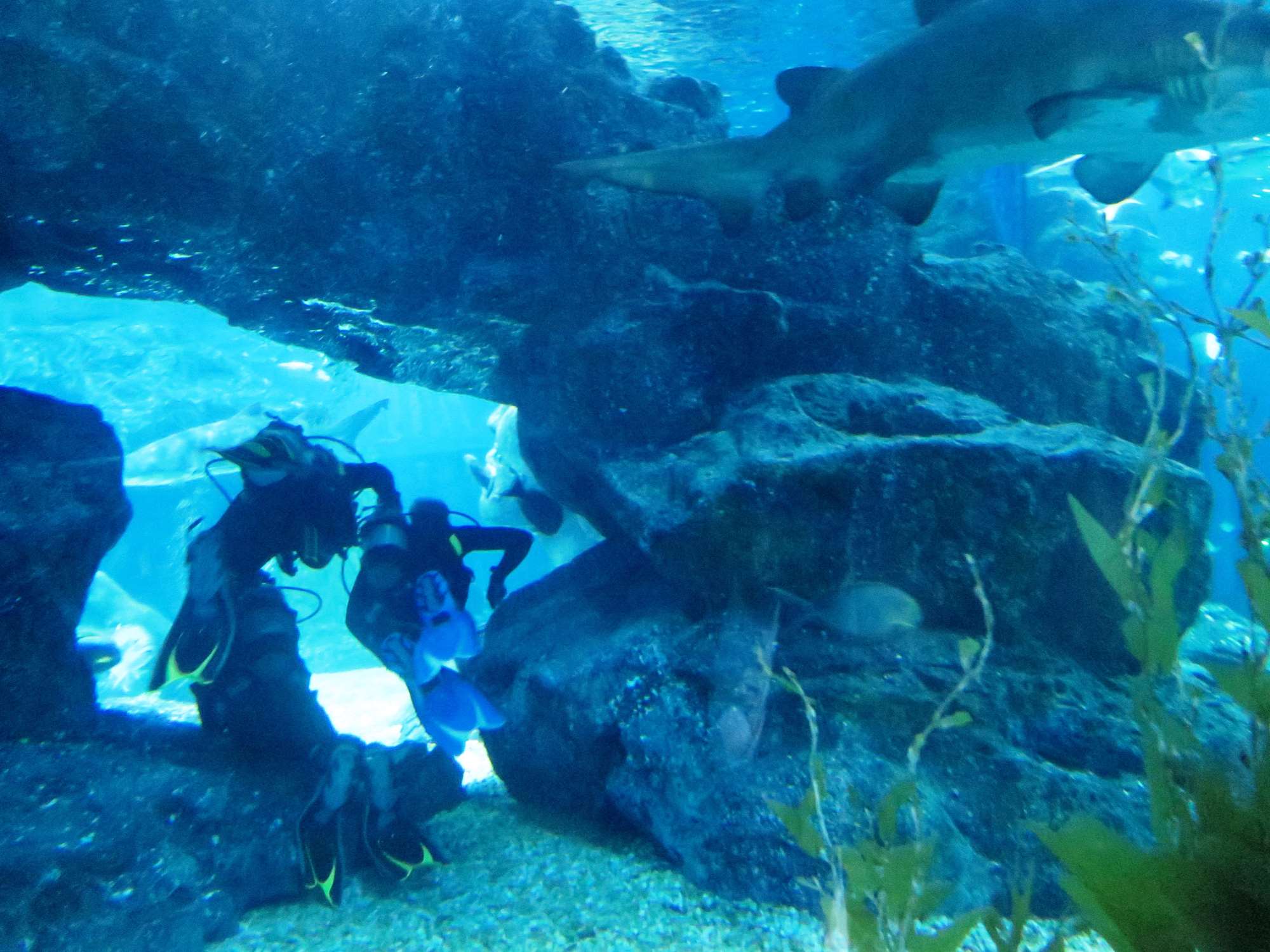 Wp 20160713 14 25 00 6314