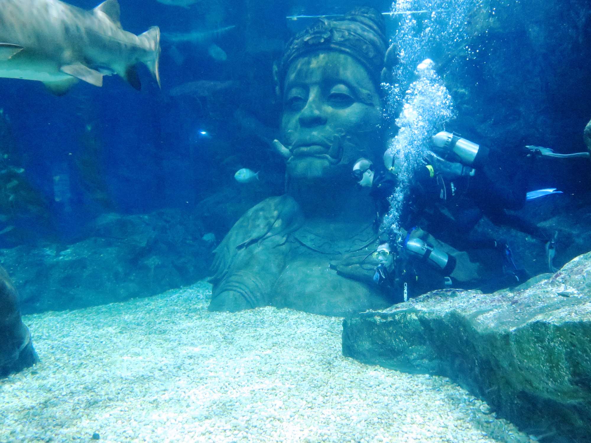 Wp 20160713 14 25 00 6315