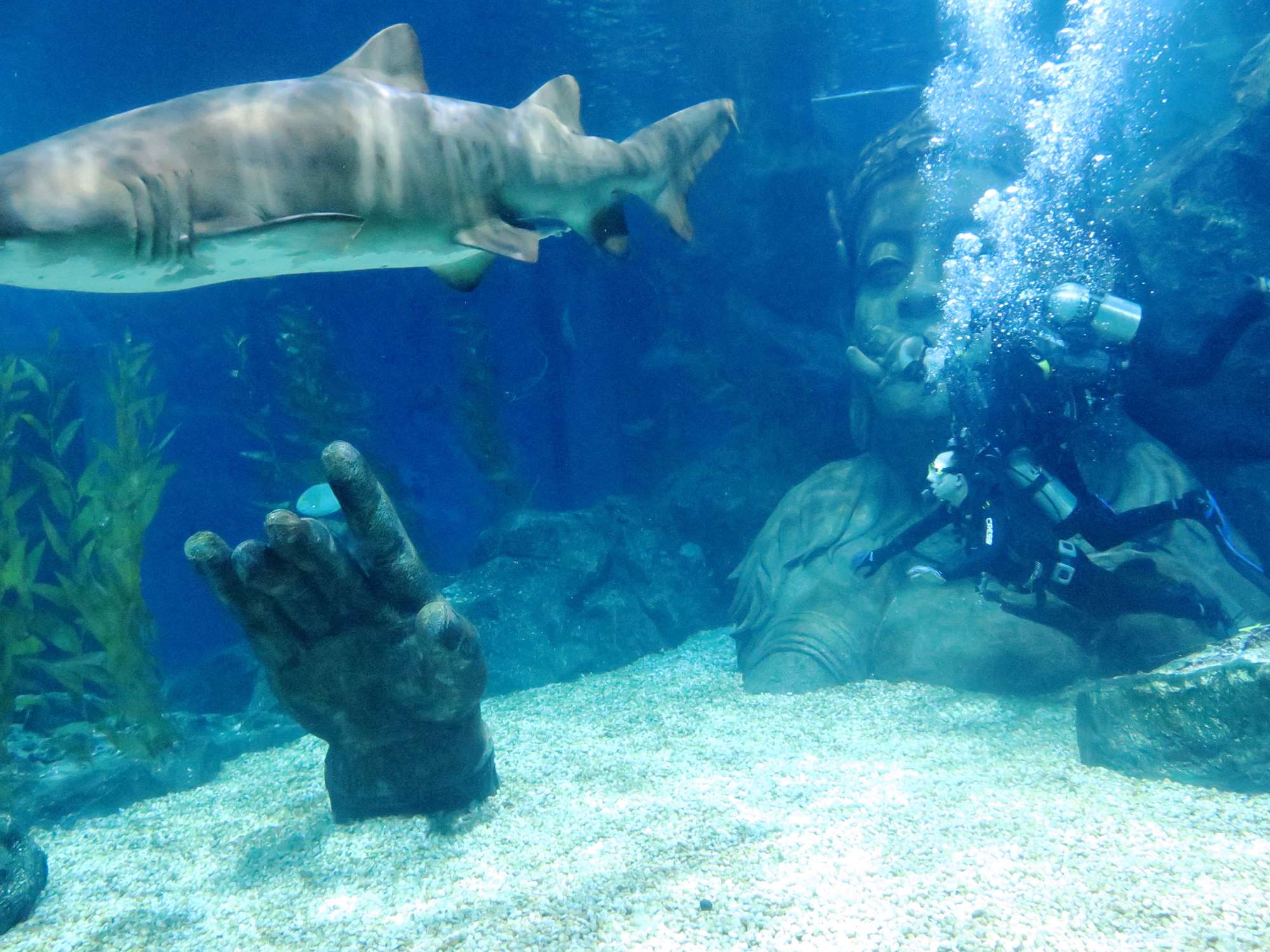 Wp 20160713 14 25 00 6316