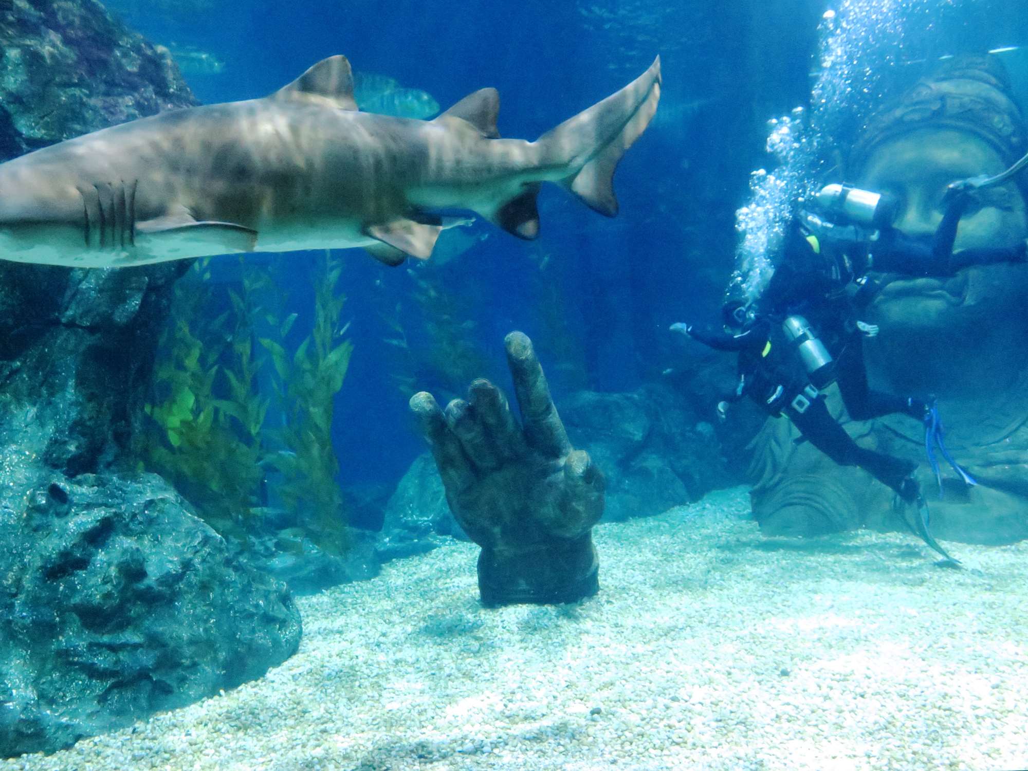 Wp 20160713 14 25 00 6317