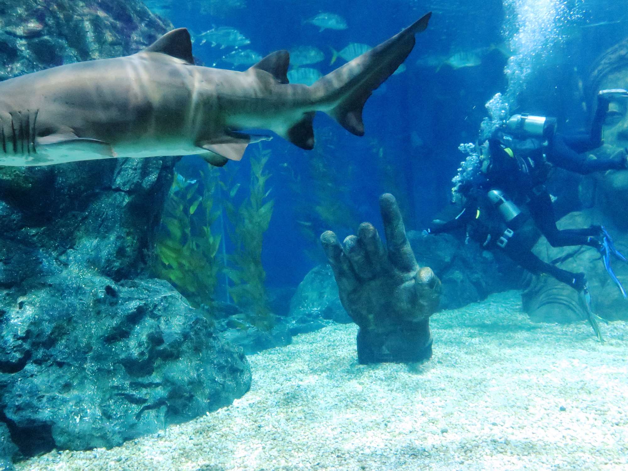 Wp 20160713 14 25 00 6318