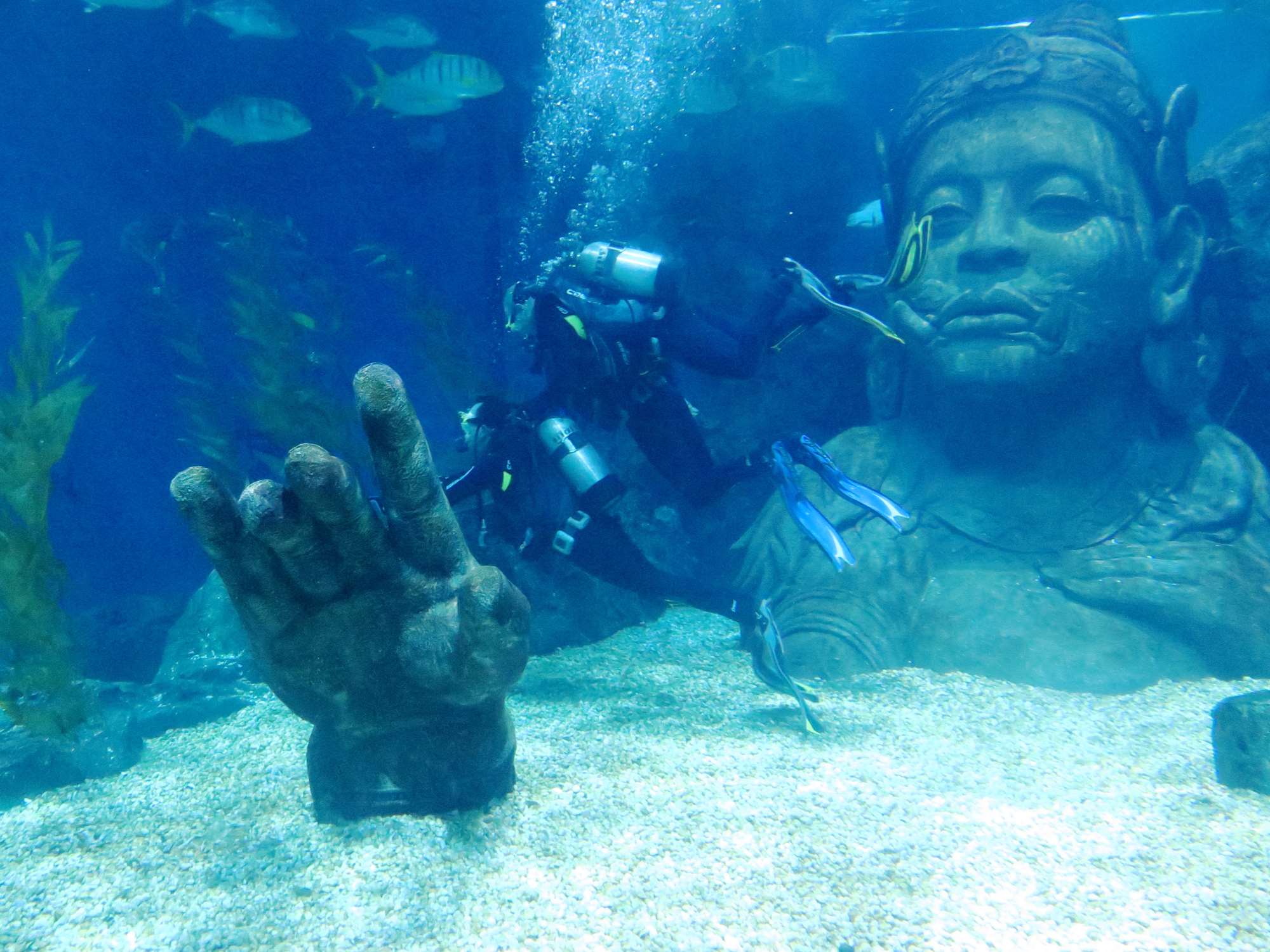 Wp 20160713 14 25 00 6319