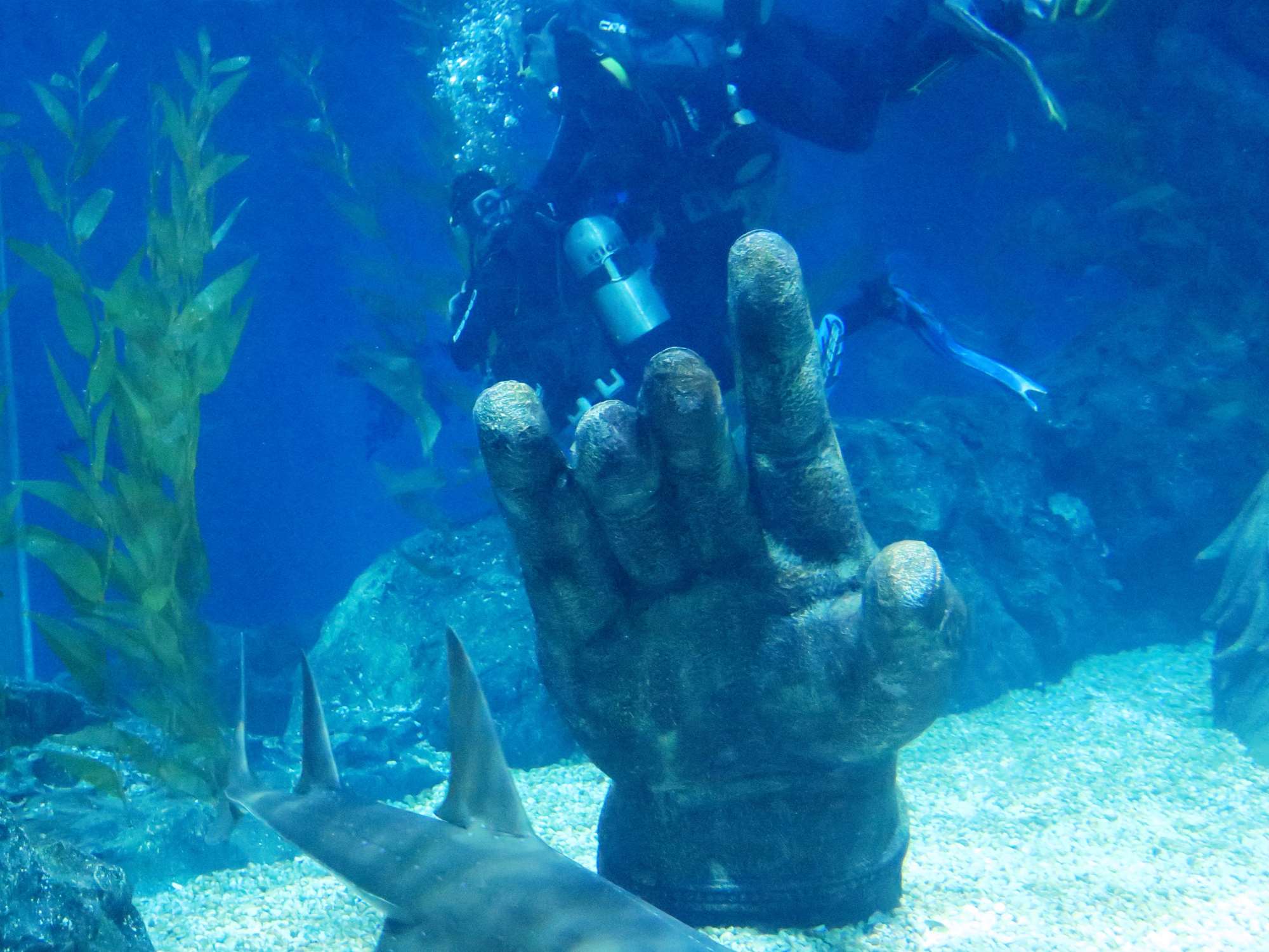 Wp 20160713 14 25 00 6321