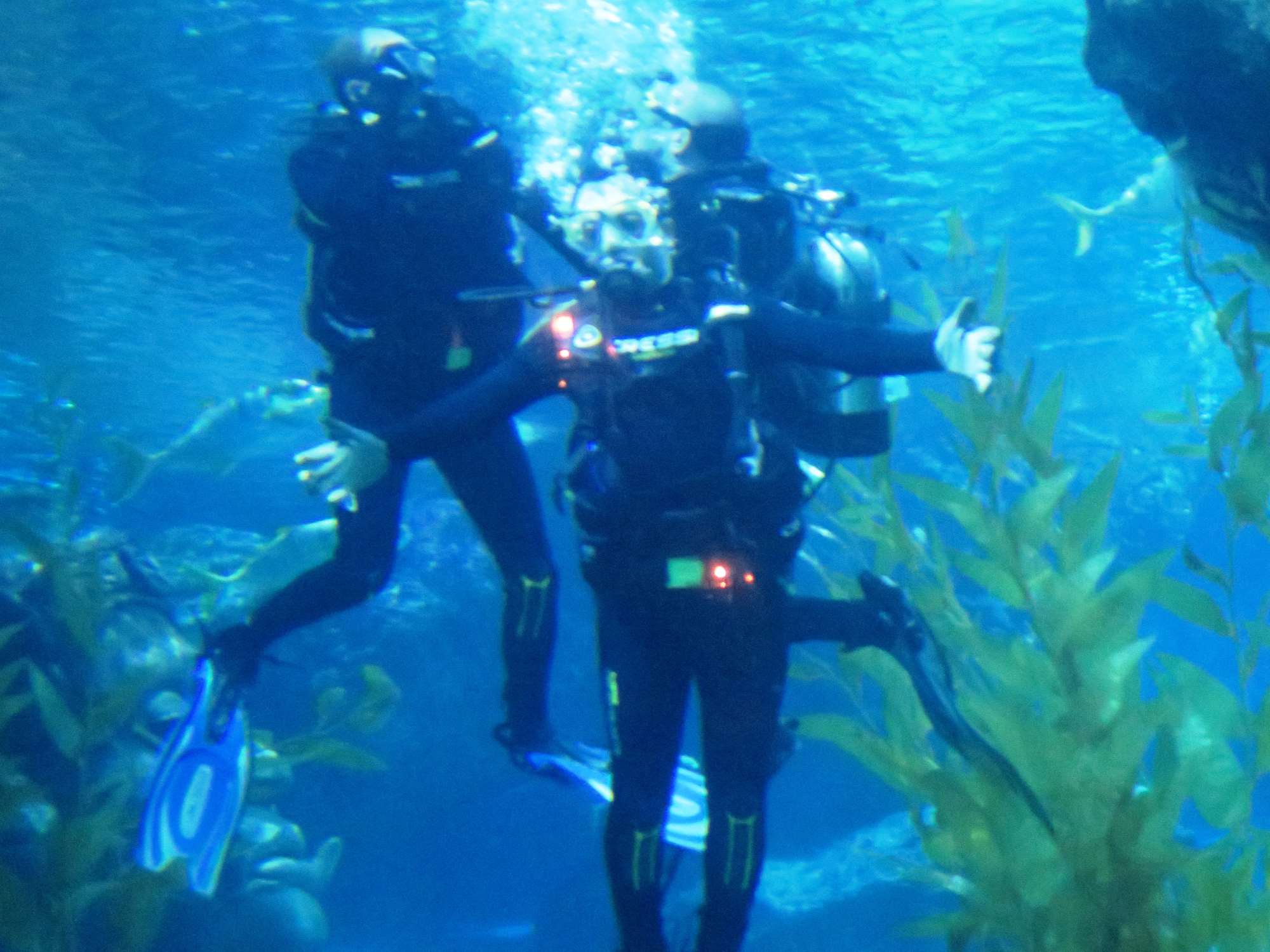 Wp 20160713 14 25 00 6322