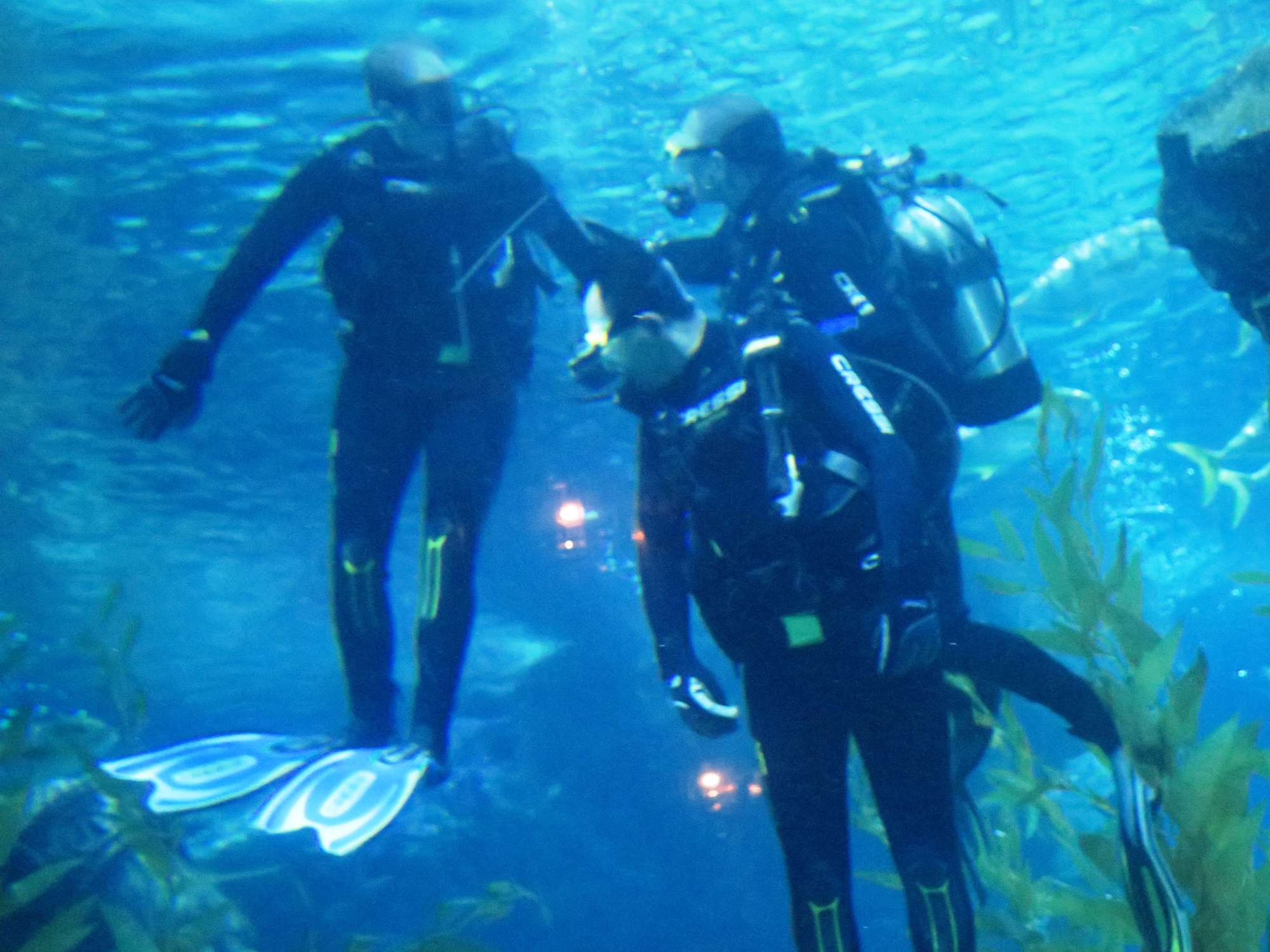 Wp 20160713 14 25 00 6323