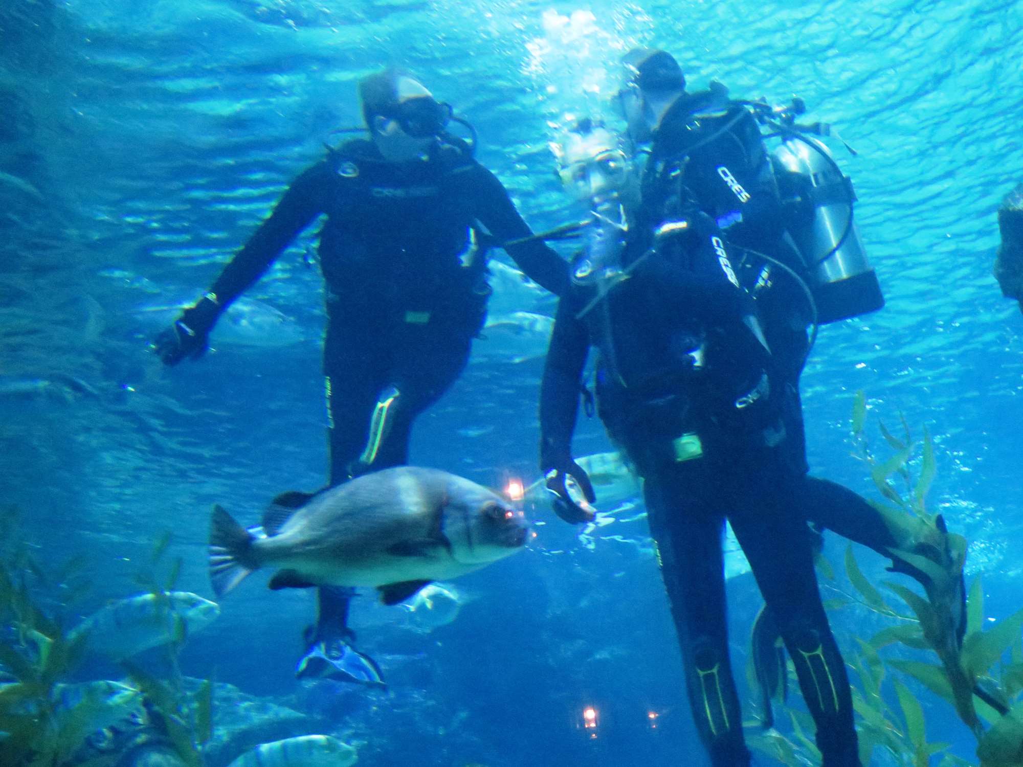 Wp 20160713 14 25 00 6324