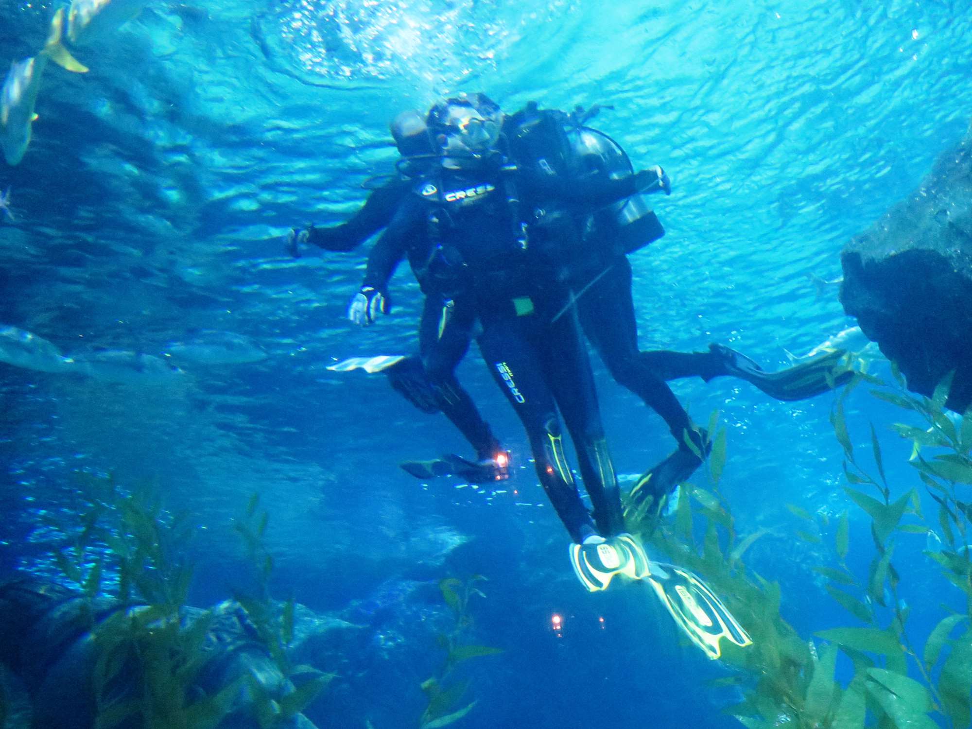 Wp 20160713 14 25 00 6325