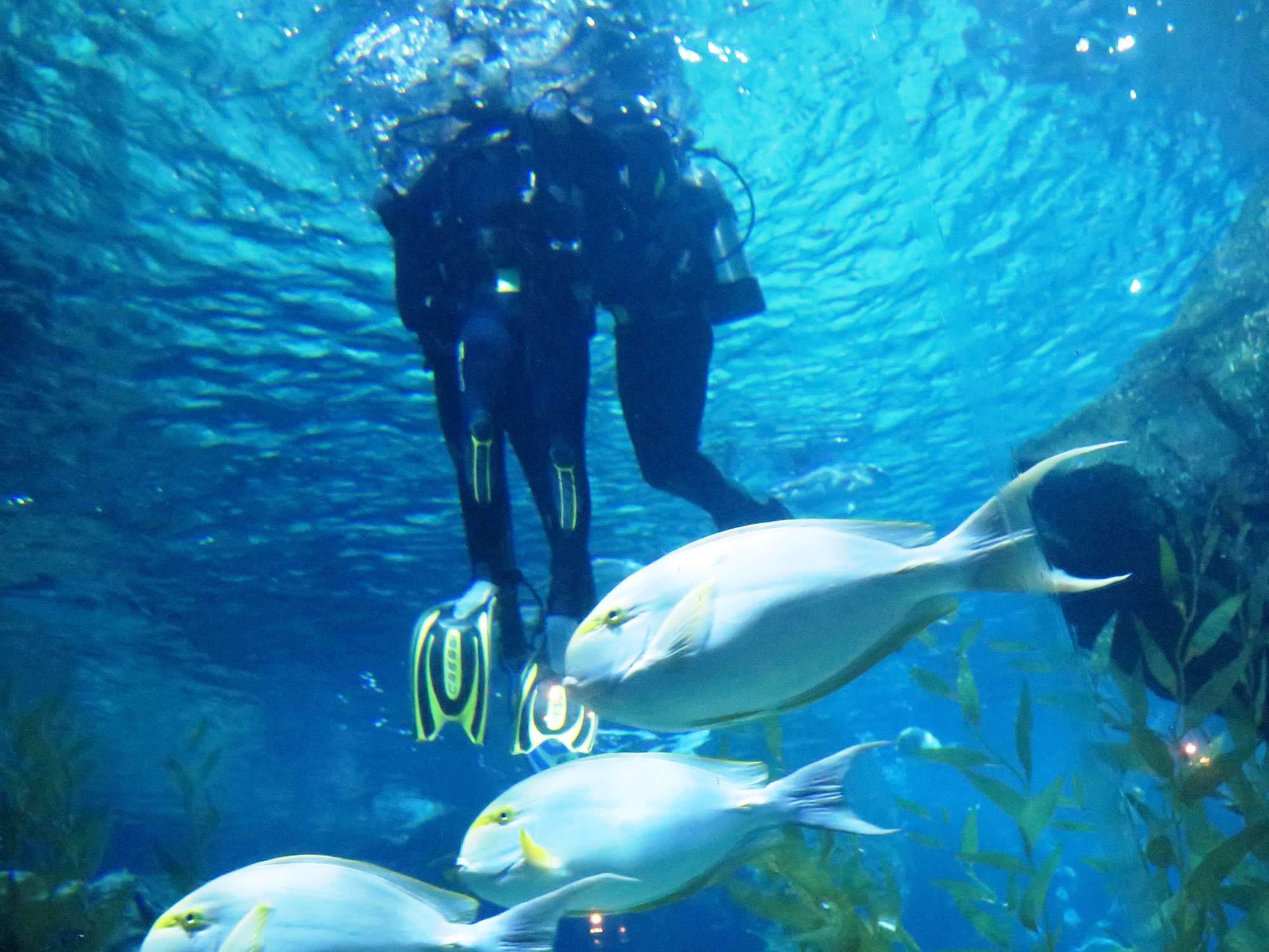 Wp 20160713 14 25 00 6326