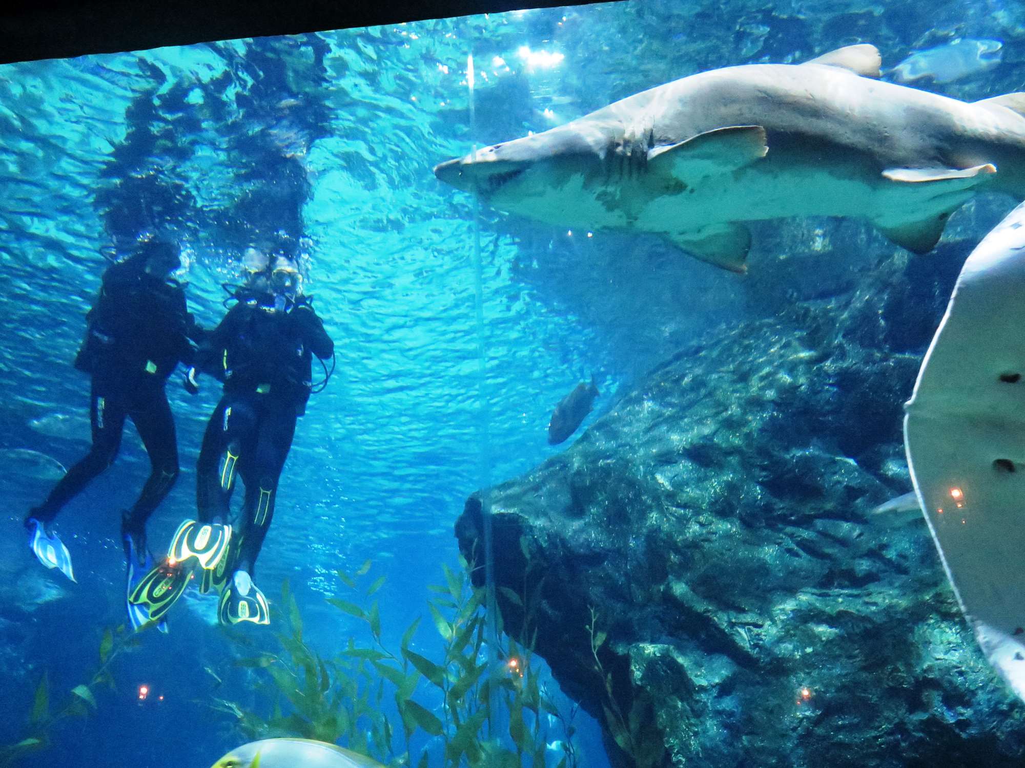 Wp 20160713 14 25 00 6327