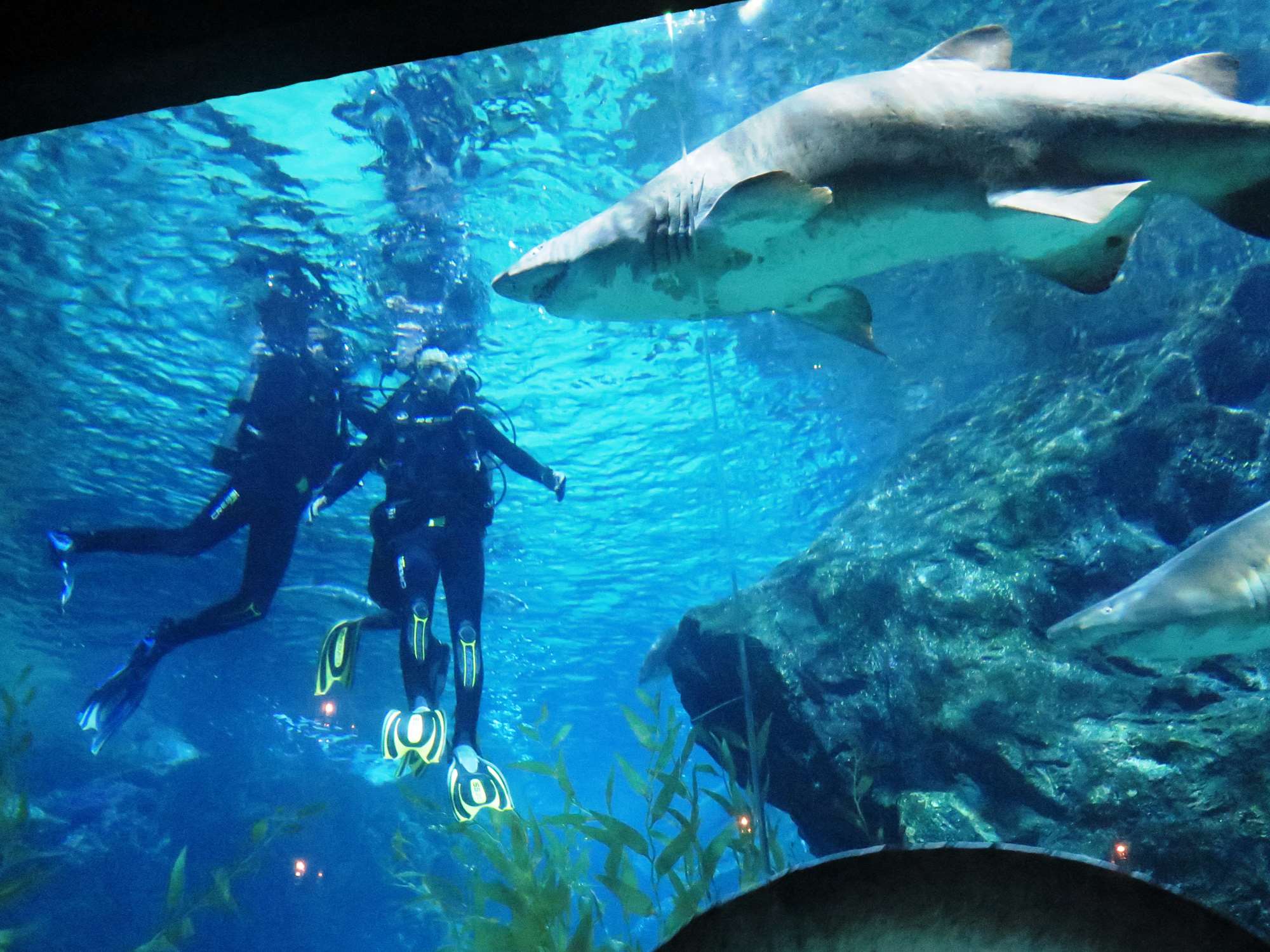 Wp 20160713 14 25 00 6328