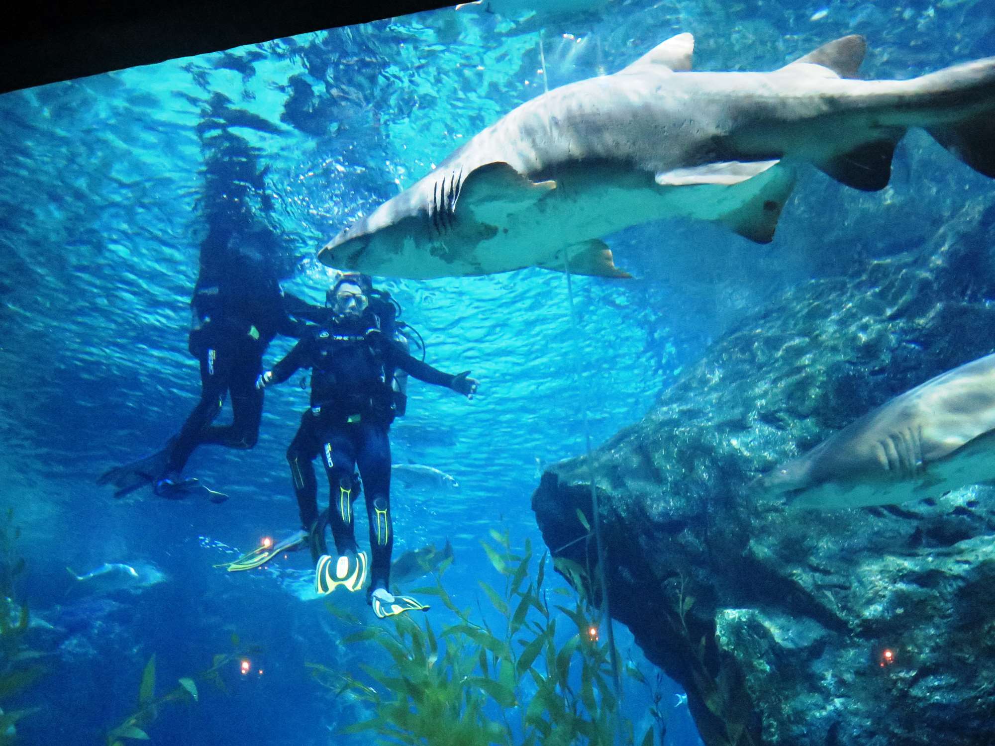 Wp 20160713 14 25 00 6329