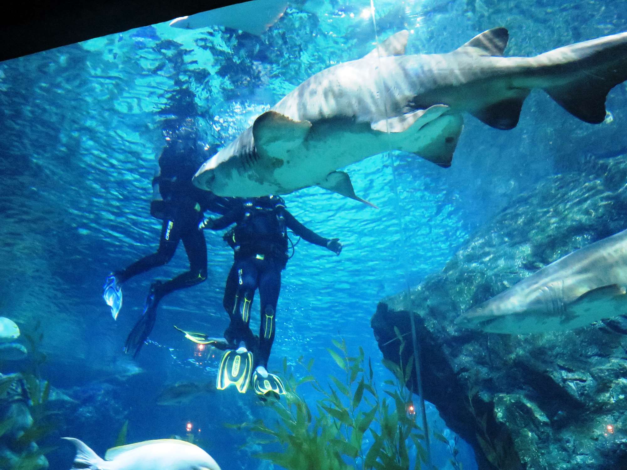 Wp 20160713 14 25 00 6330