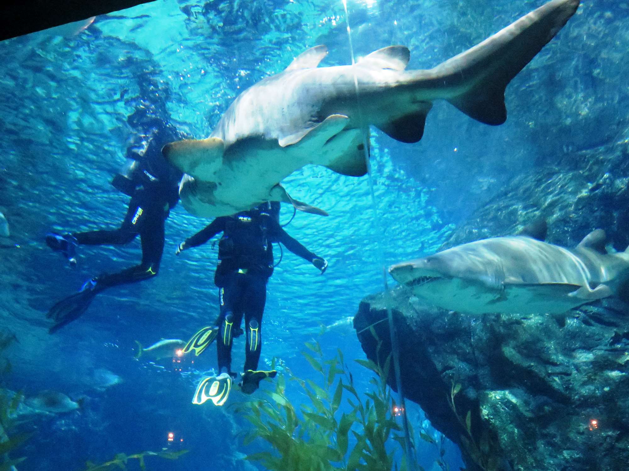 Wp 20160713 14 25 00 6331