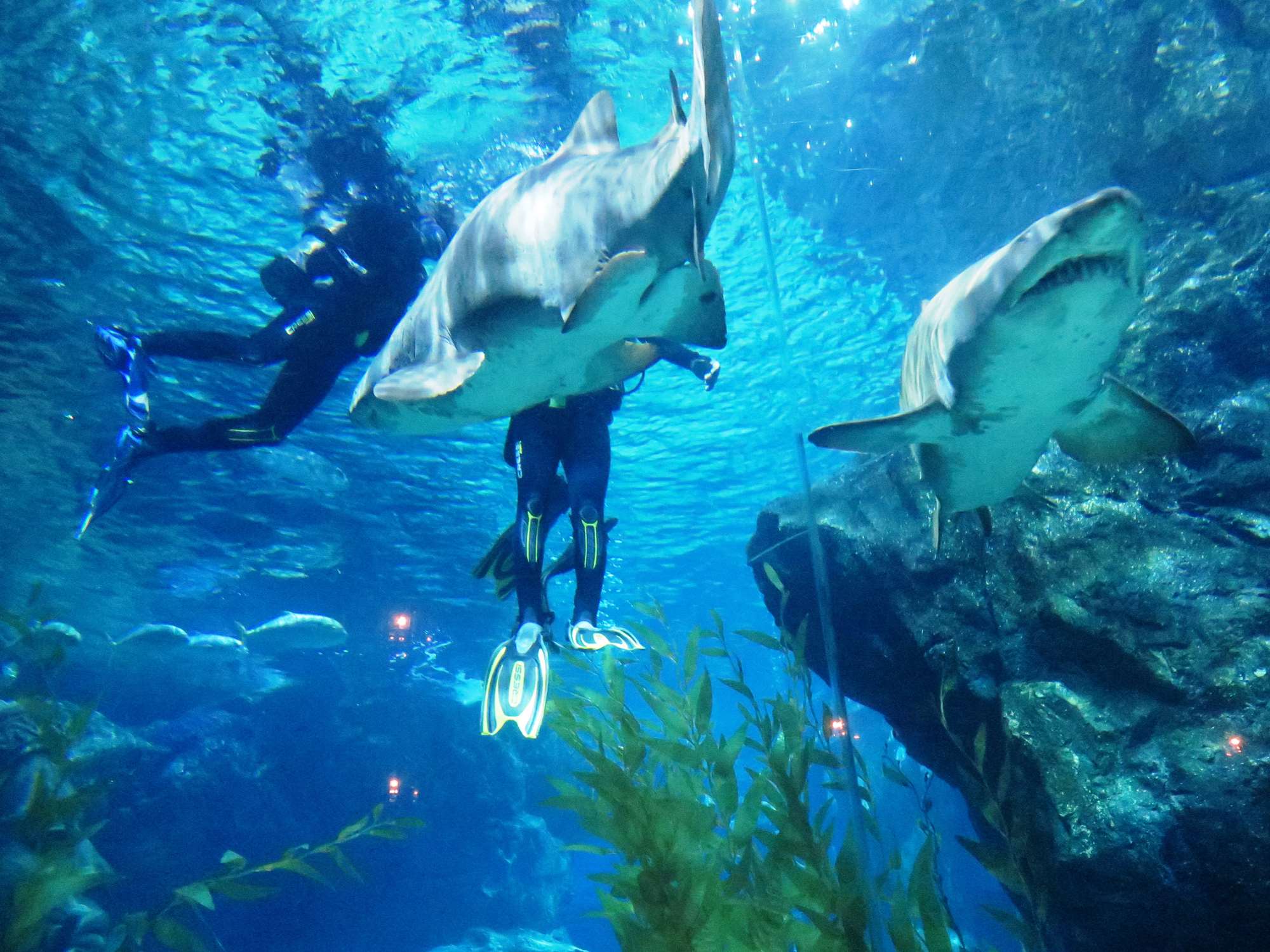 Wp 20160713 14 25 00 6332