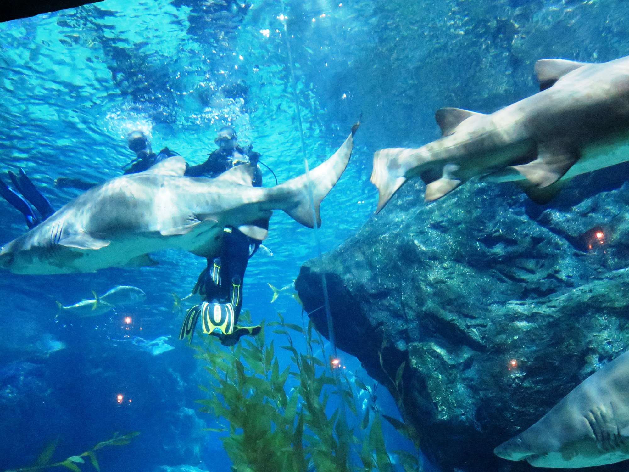 Wp 20160713 14 25 00 6333