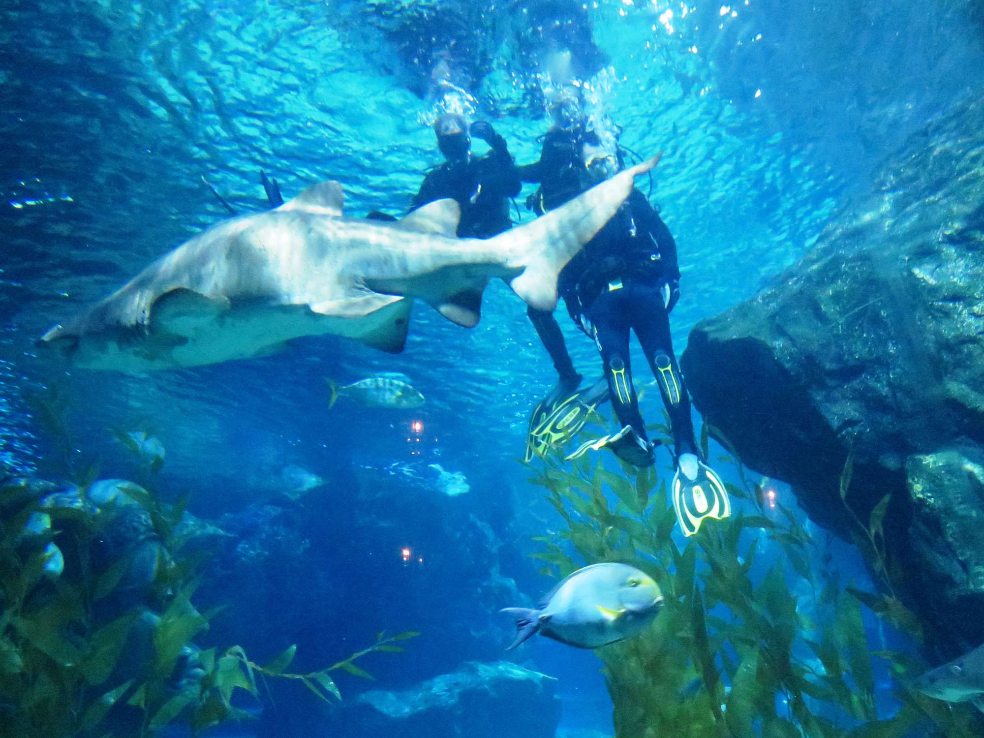 Wp 20160713 14 25 00 6334