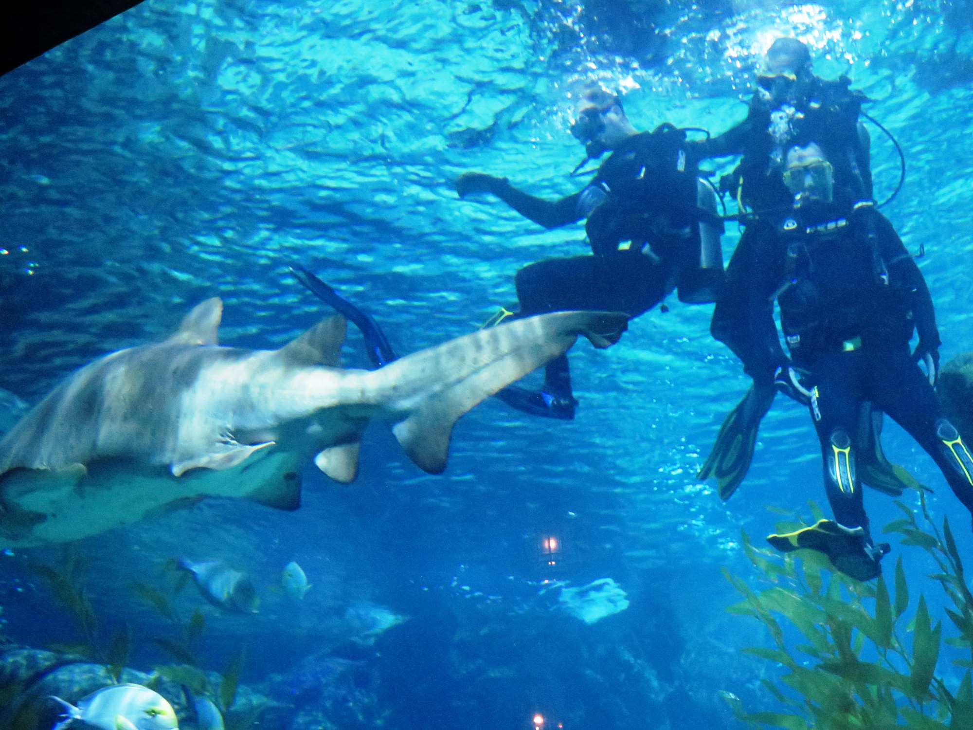 Wp 20160713 14 25 00 6335