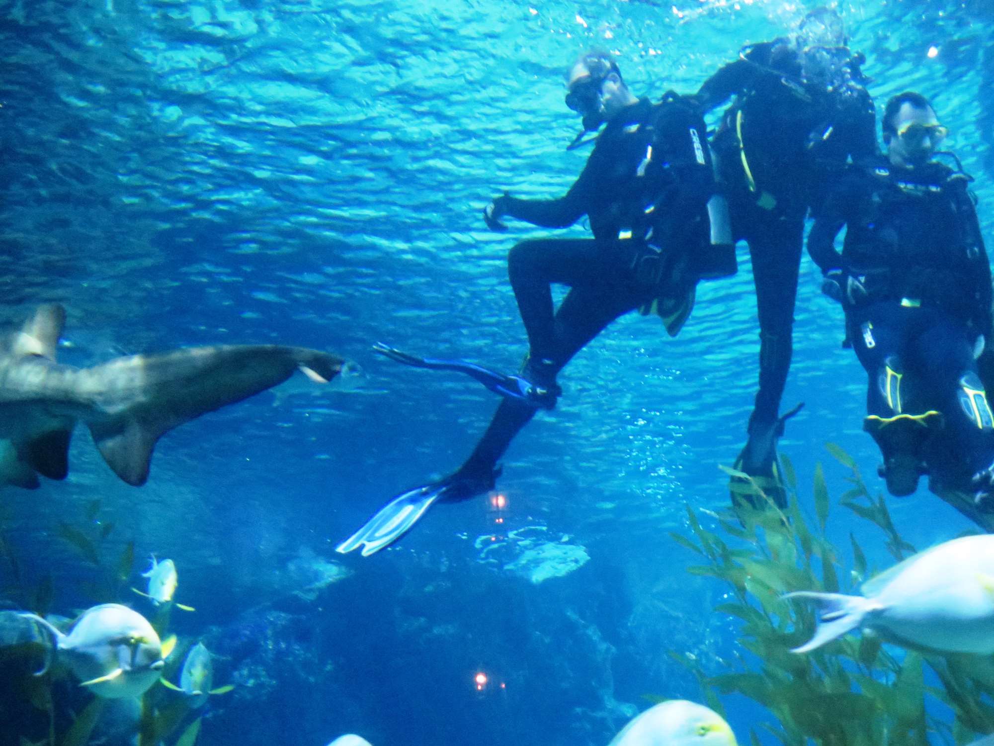 Wp 20160713 14 25 00 6336