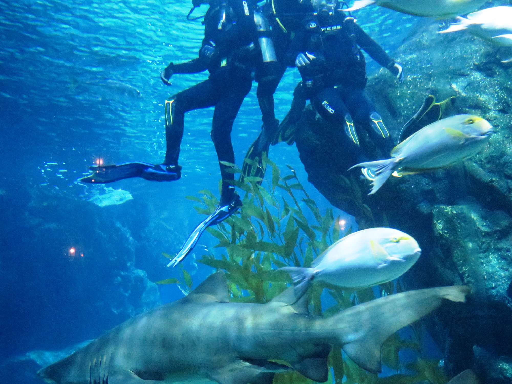 Wp 20160713 14 25 00 6337