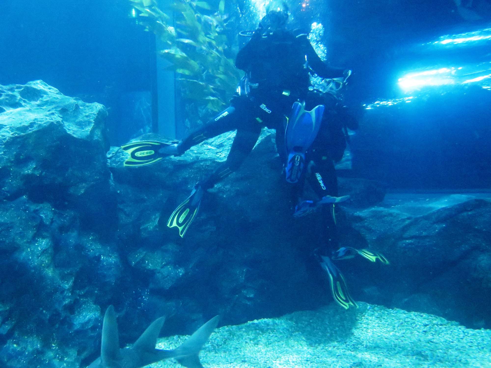 Wp 20160713 14 25 00 6341