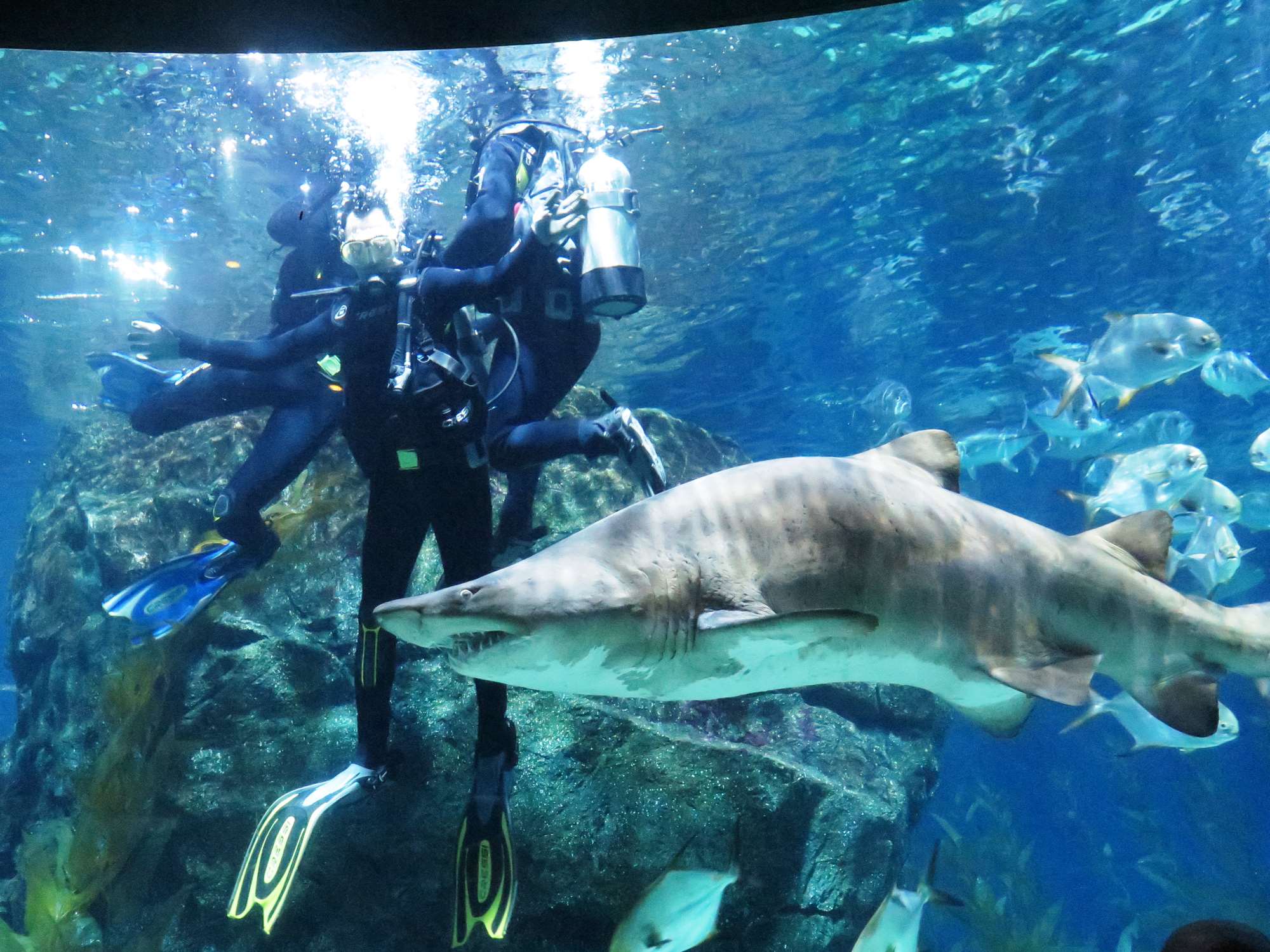 Wp 20160713 14 25 00 6348