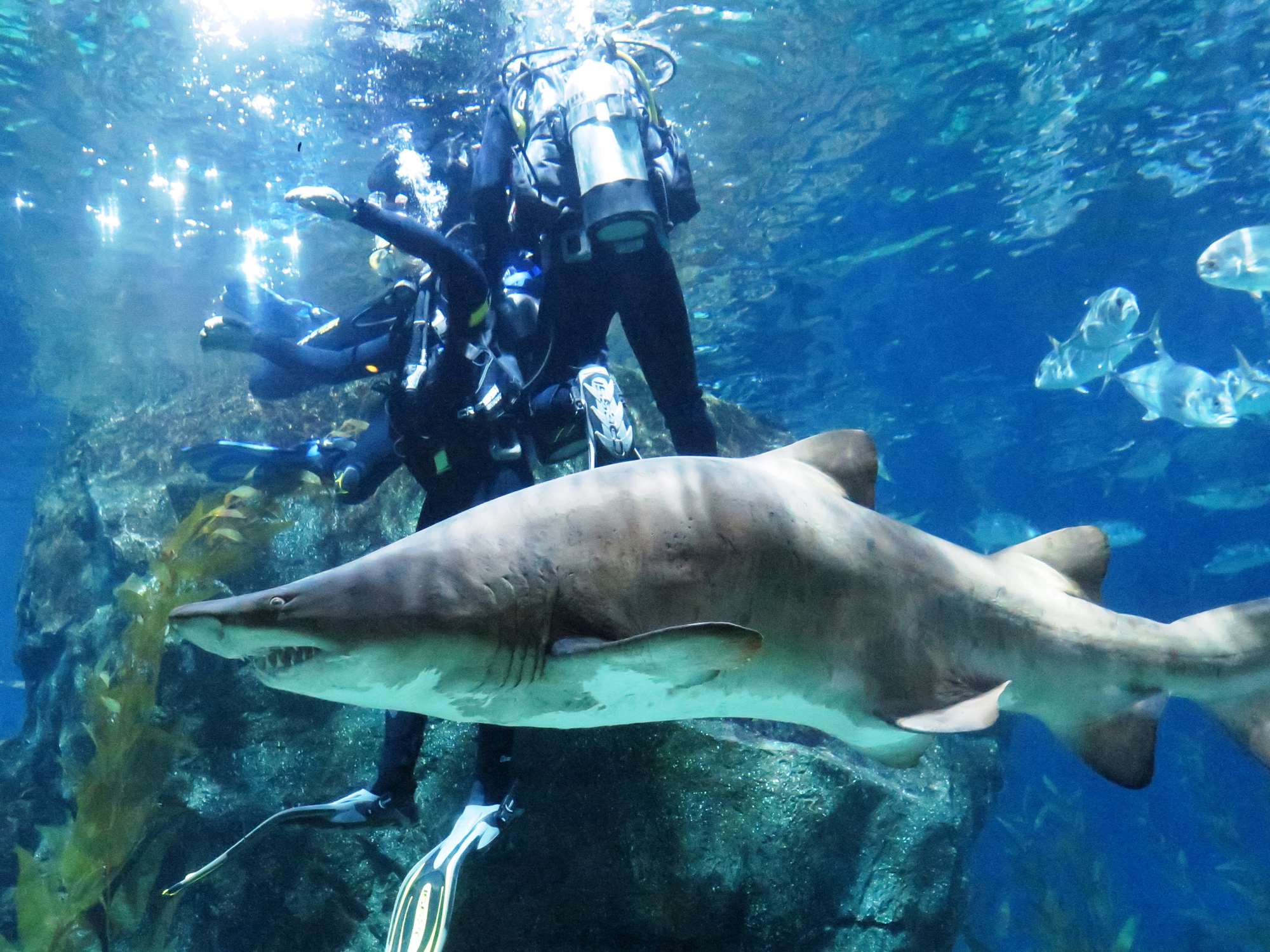 Wp 20160713 14 25 00 6349