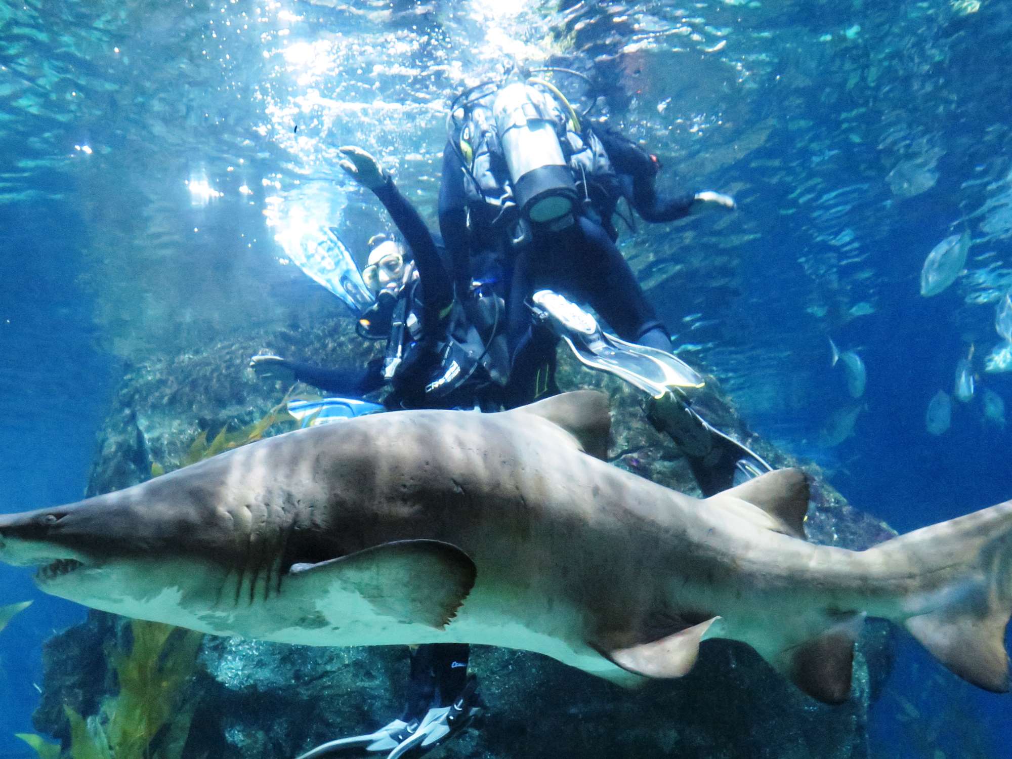 Wp 20160713 14 25 00 6350