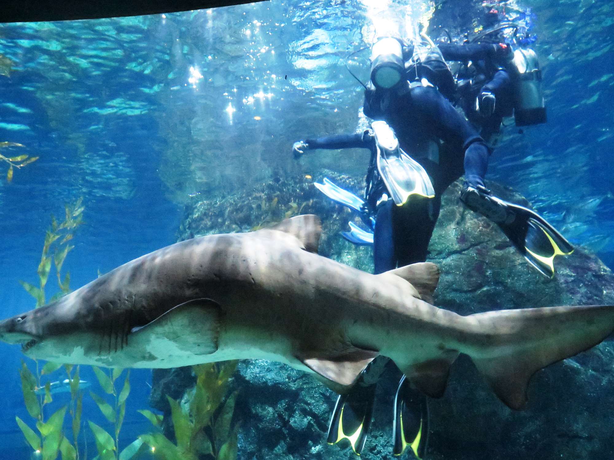 Wp 20160713 14 25 00 6351