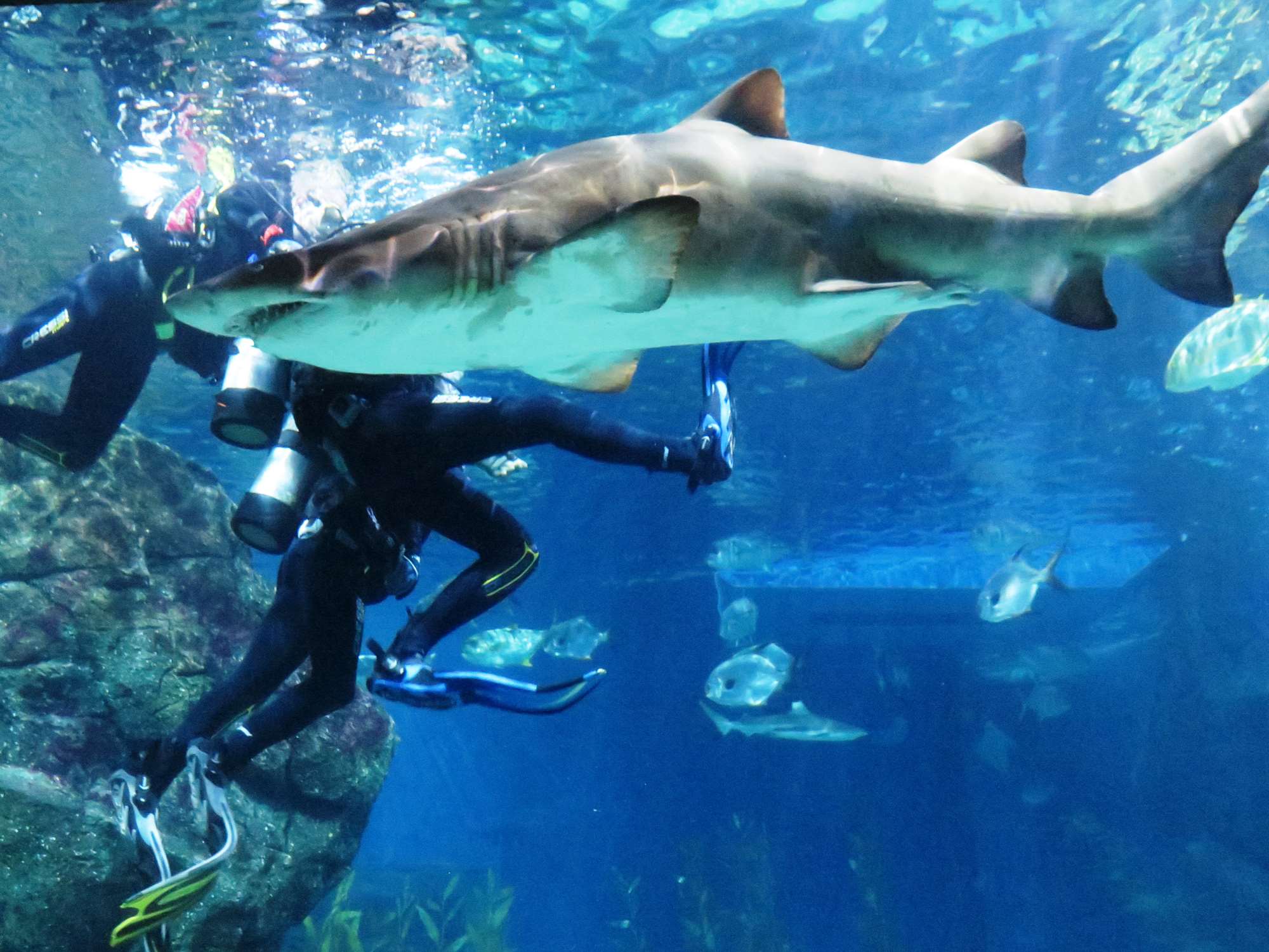 Wp 20160713 14 25 00 6353