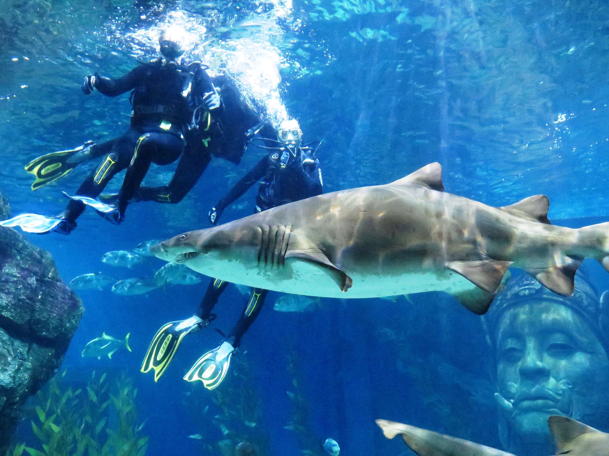 Wp 20160713 14 25 00 6356