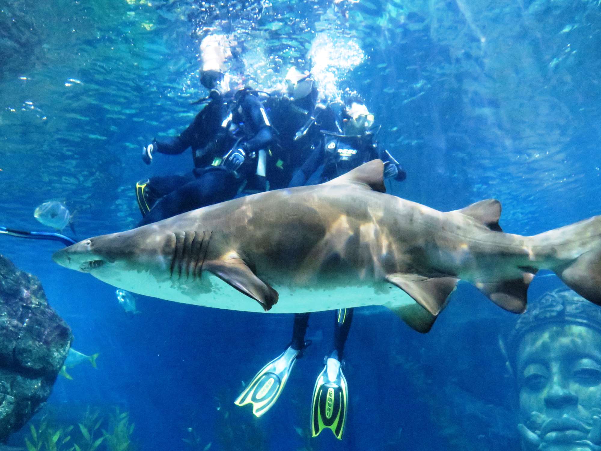 Wp 20160713 14 25 00 6357