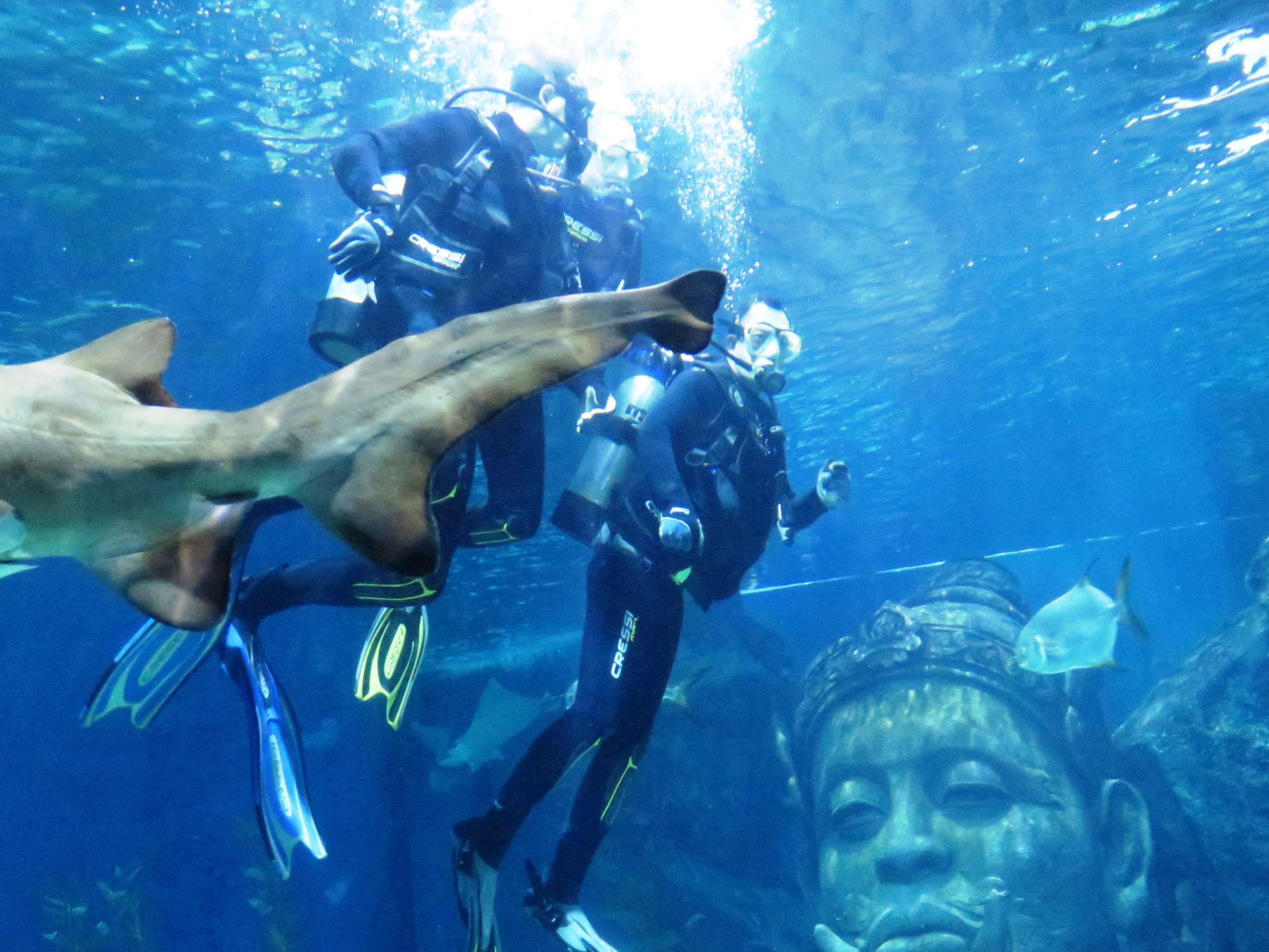 Wp 20160713 14 25 00 6360