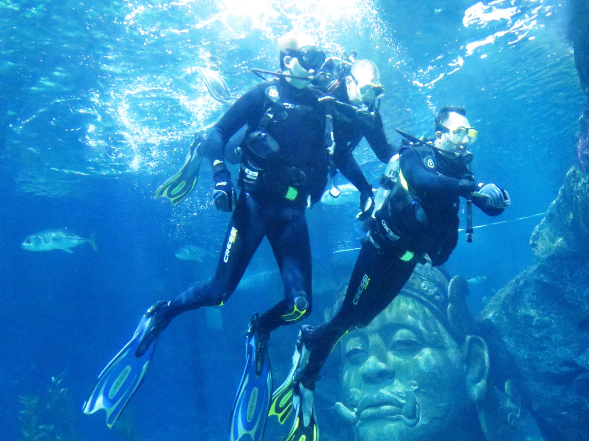 Wp 20160713 14 25 00 6362