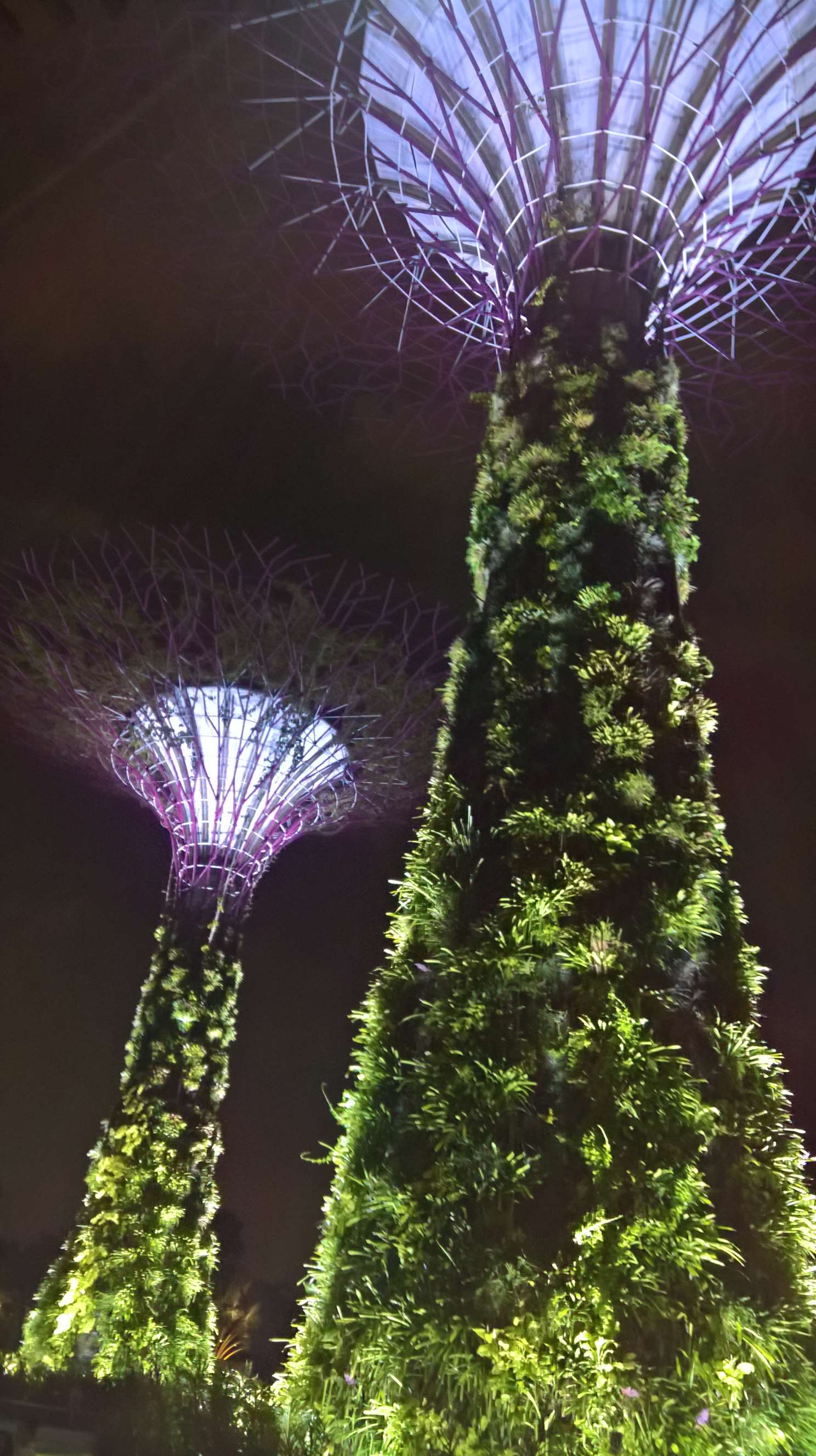 WP 20160717 20 13 58 Rich LI