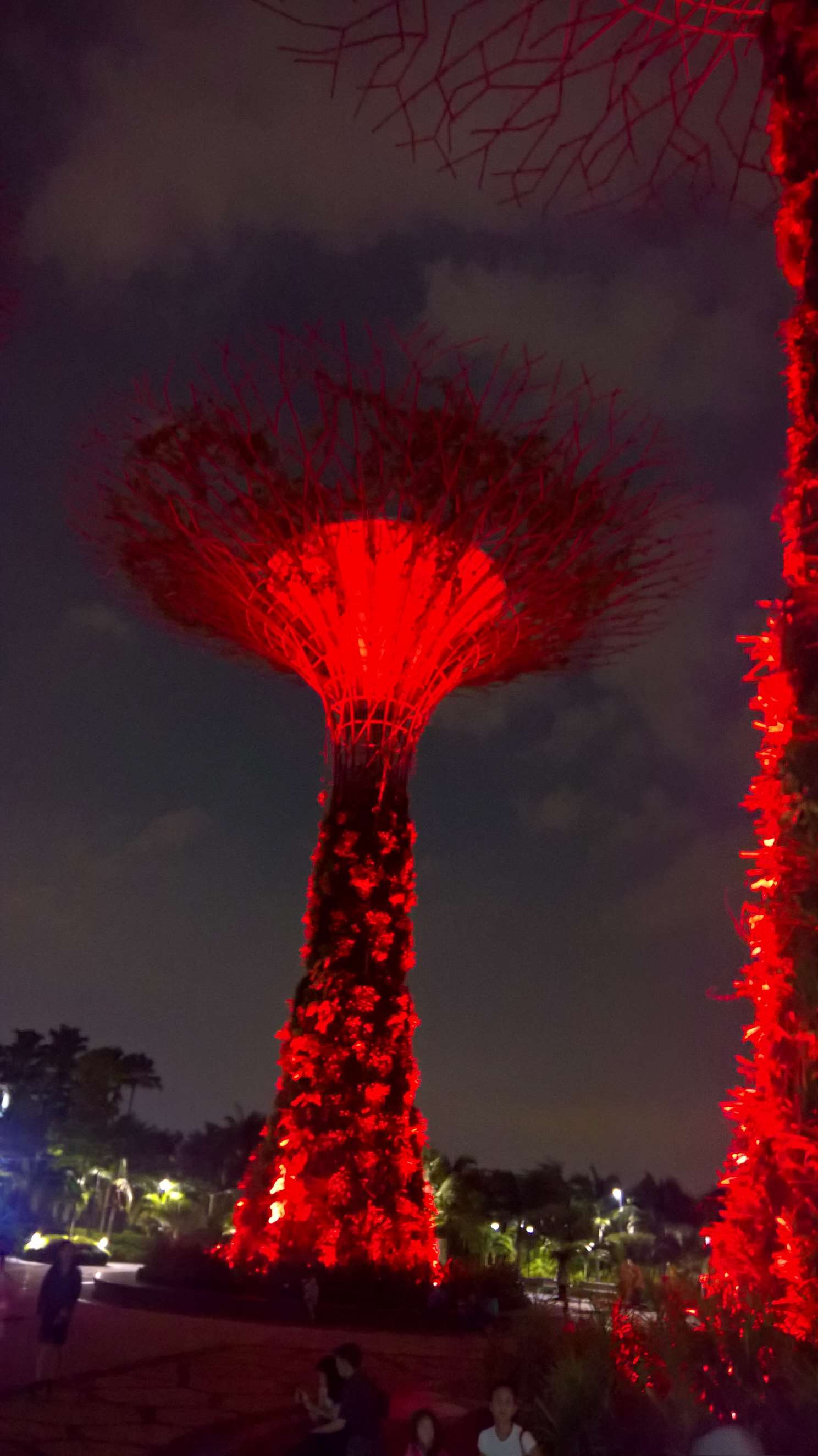 WP 20160717 20 14 18 Rich LI