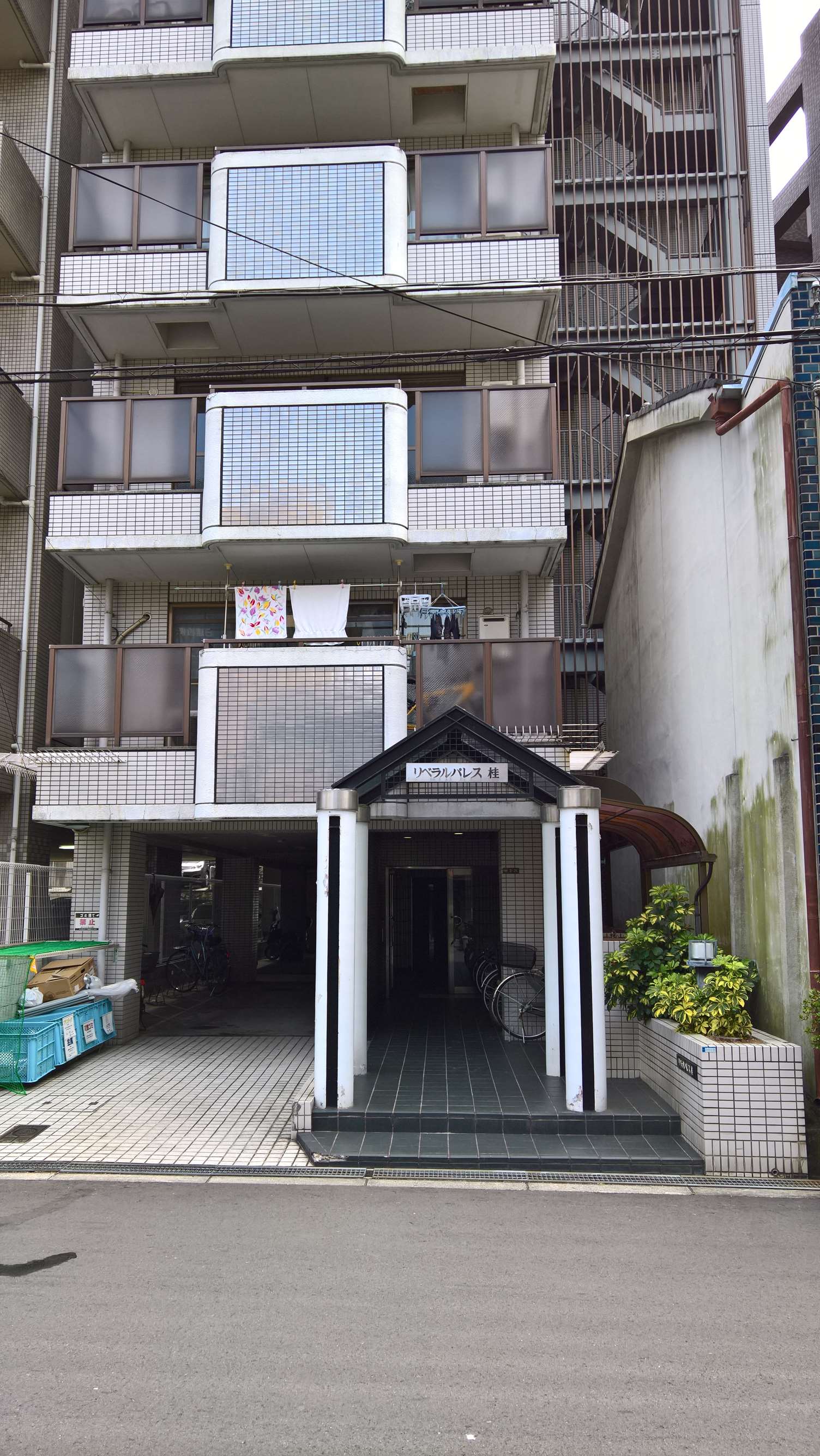 WP 20160721 10 52 01 Rich LI