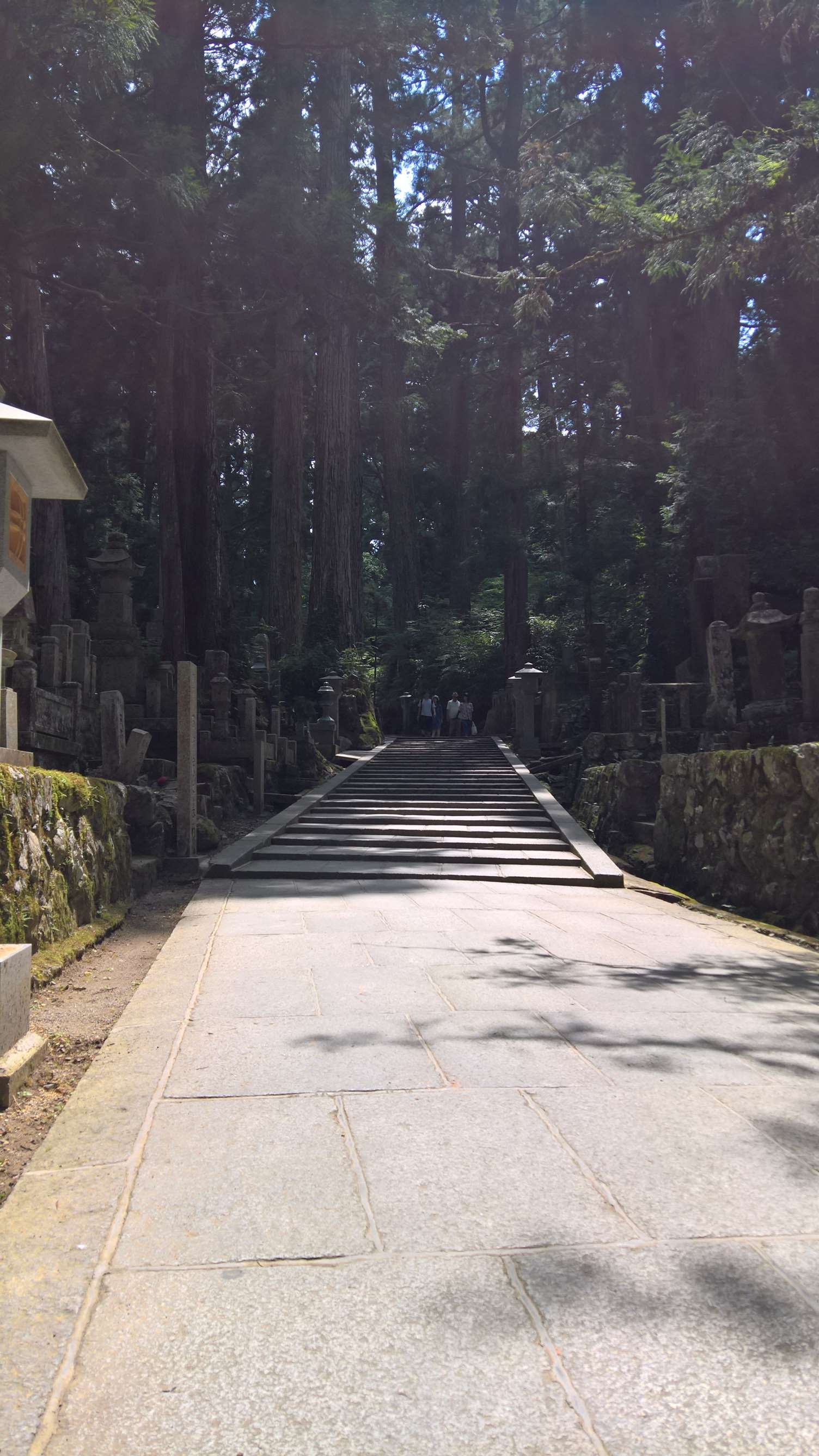 WP 20160722 13 46 19 Rich LI