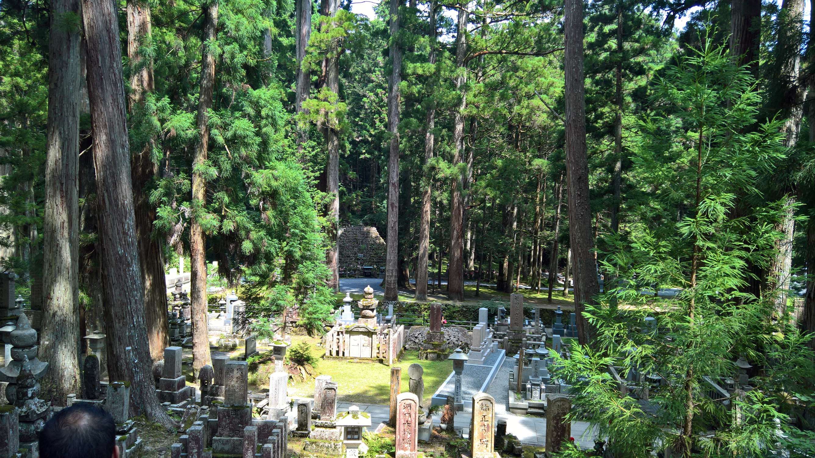 WP 20160722 13 50 46 Rich LI